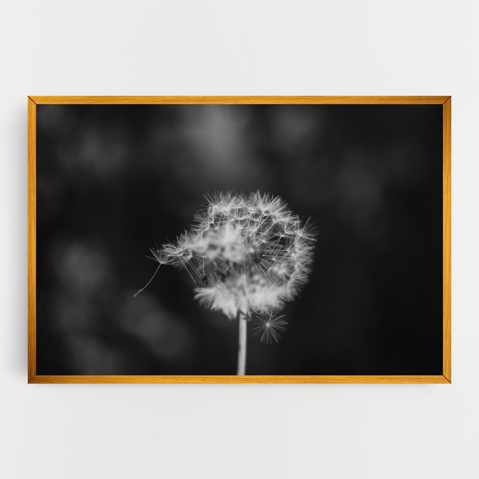 Tablou Canvas Grey Dandelion mockup 0