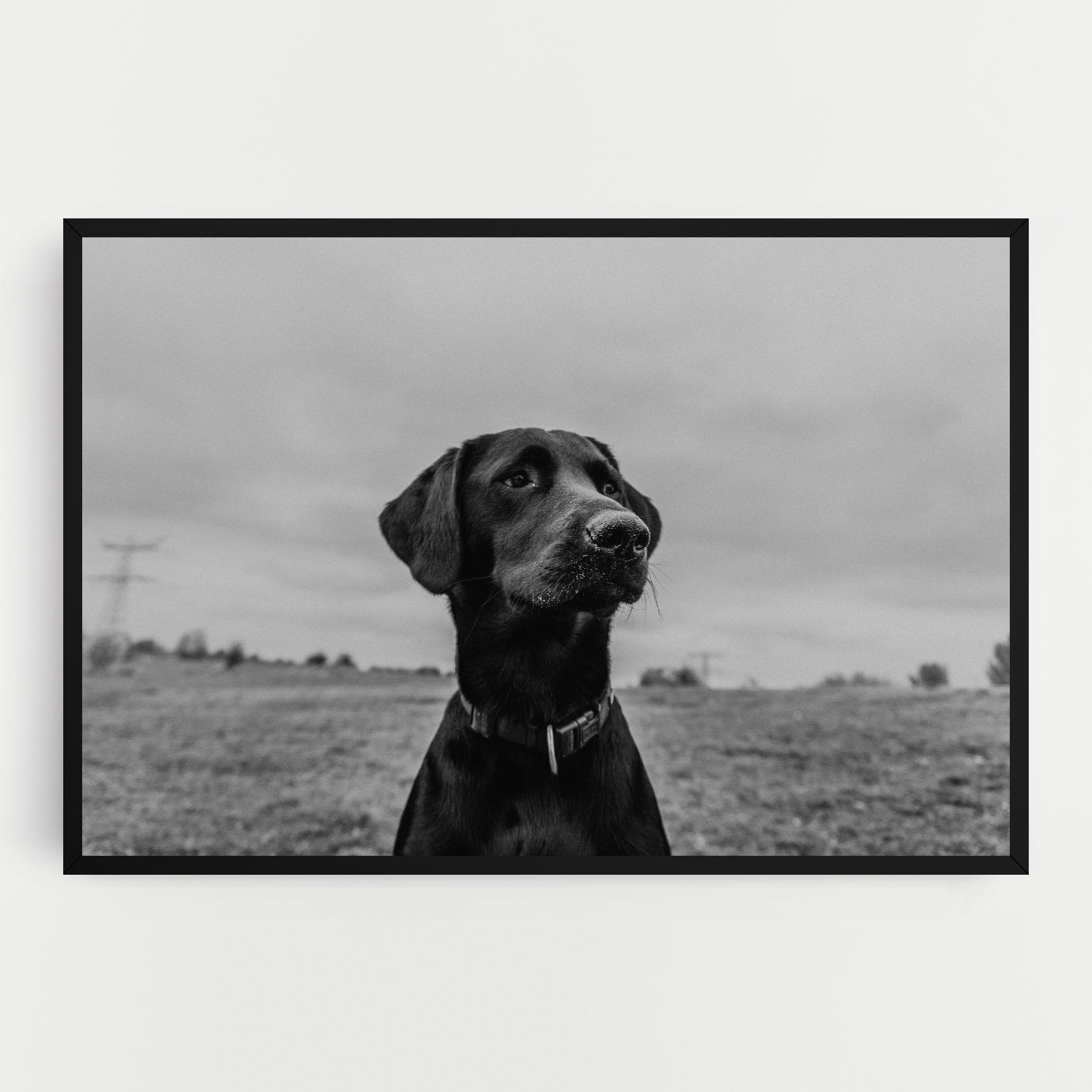 Tablou Canvas Black Dog mockup 0