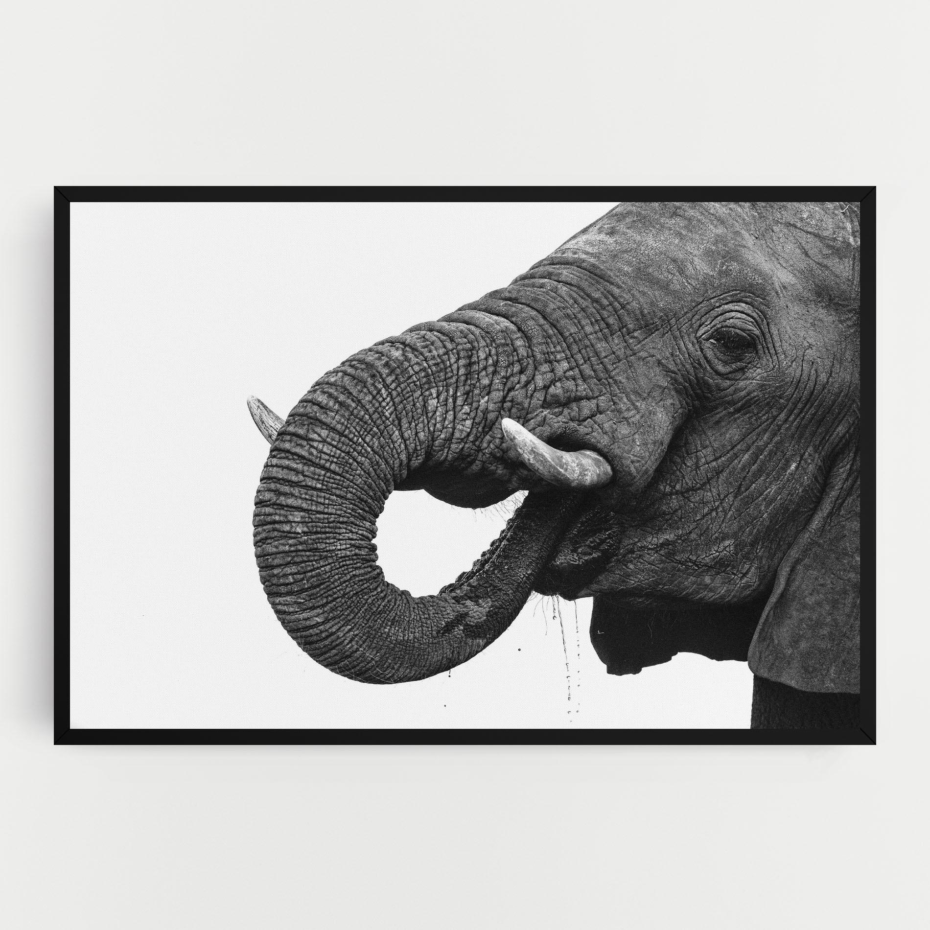 Tablou Canvas Elephant Drinking mockup 0