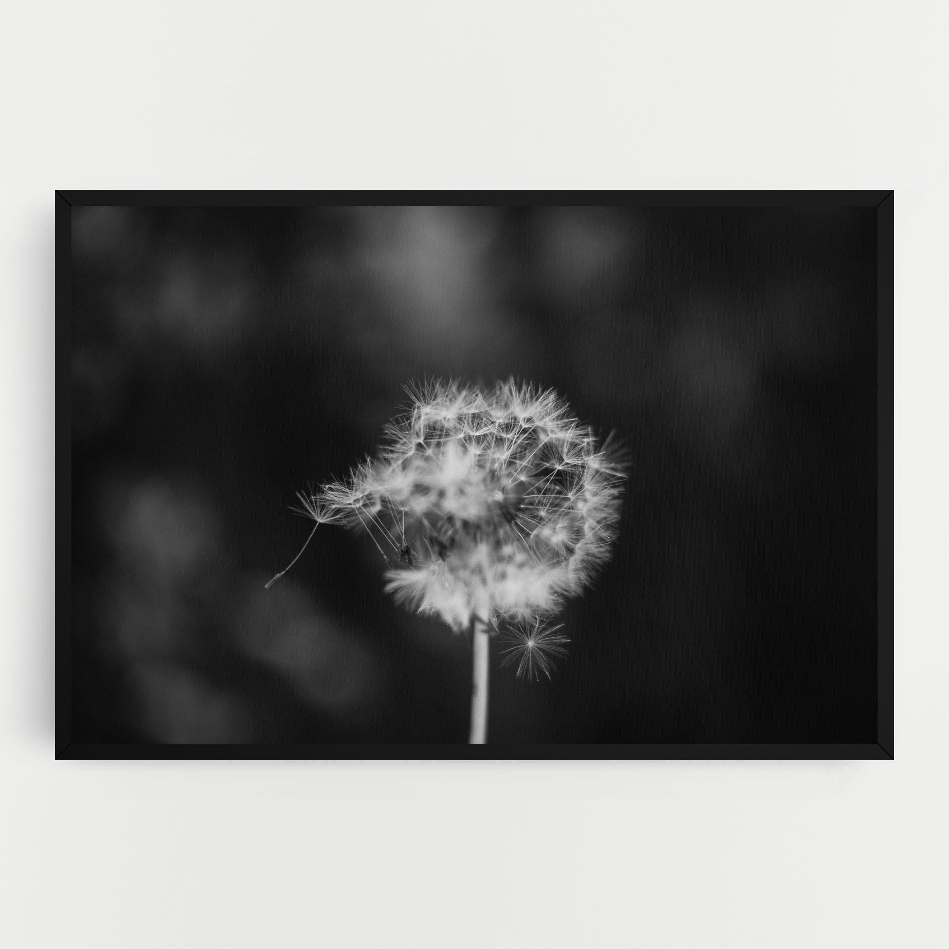 Tablou Canvas Grey Dandelion mockup 0