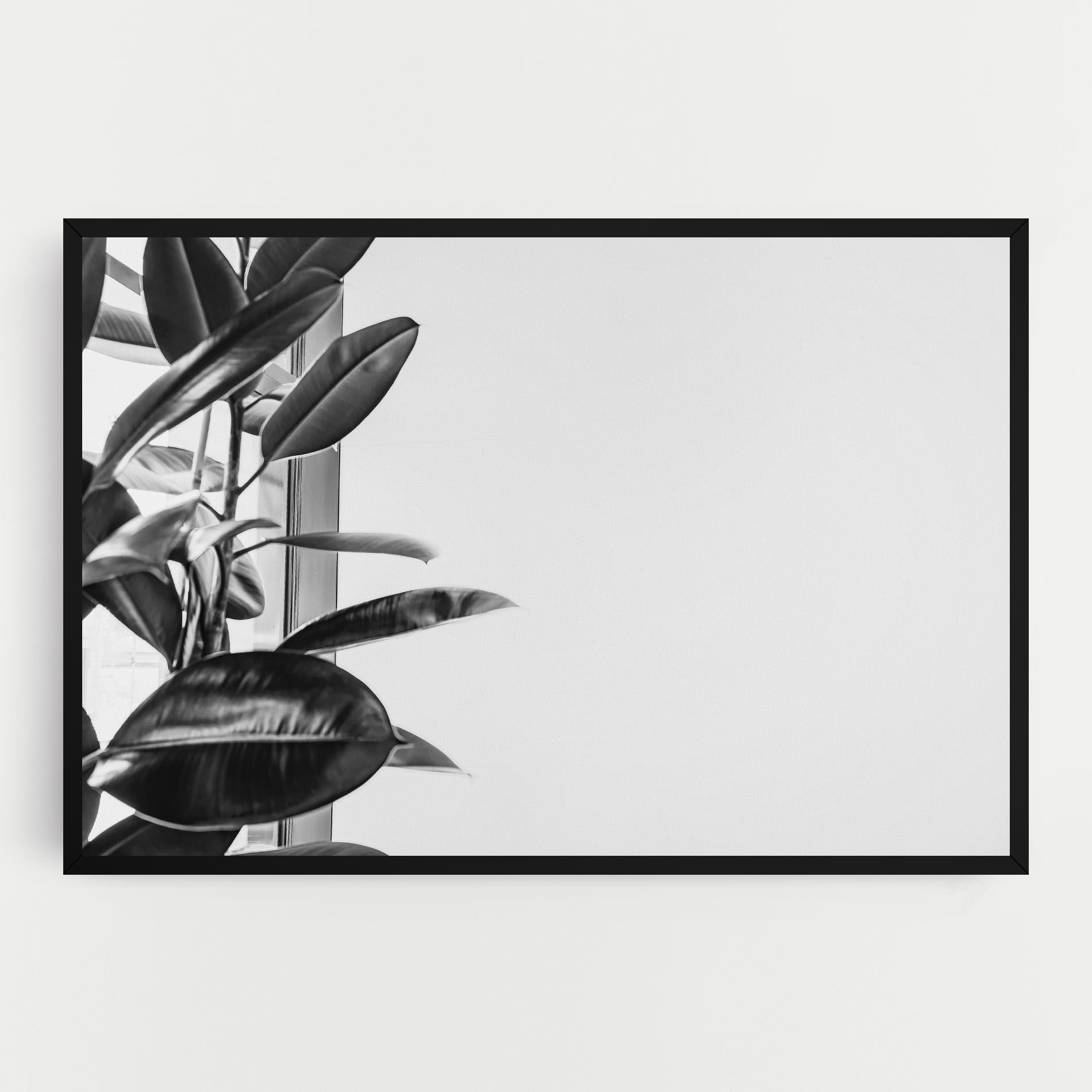 Grey Plant mockup 0