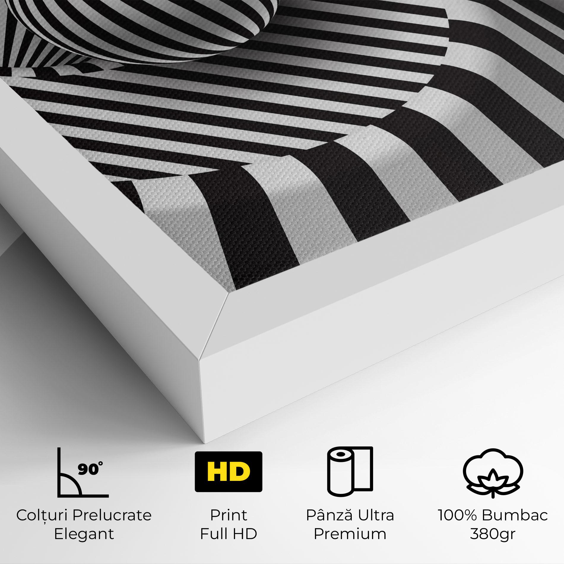Tablou Canvas 3d Ball Zebra mockup 4