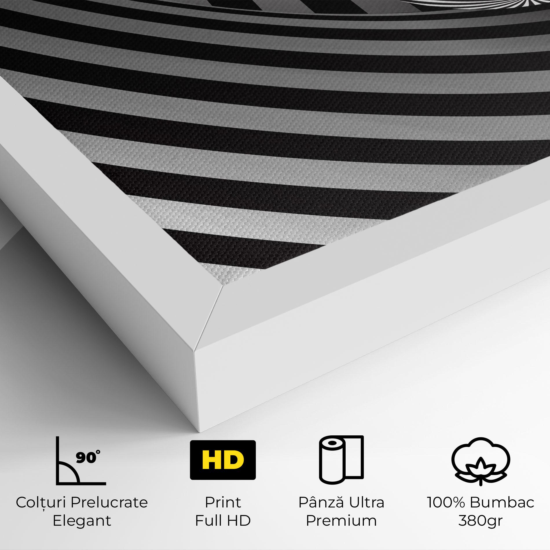 Tablou Canvas 3d Zebra Ball mockup 4