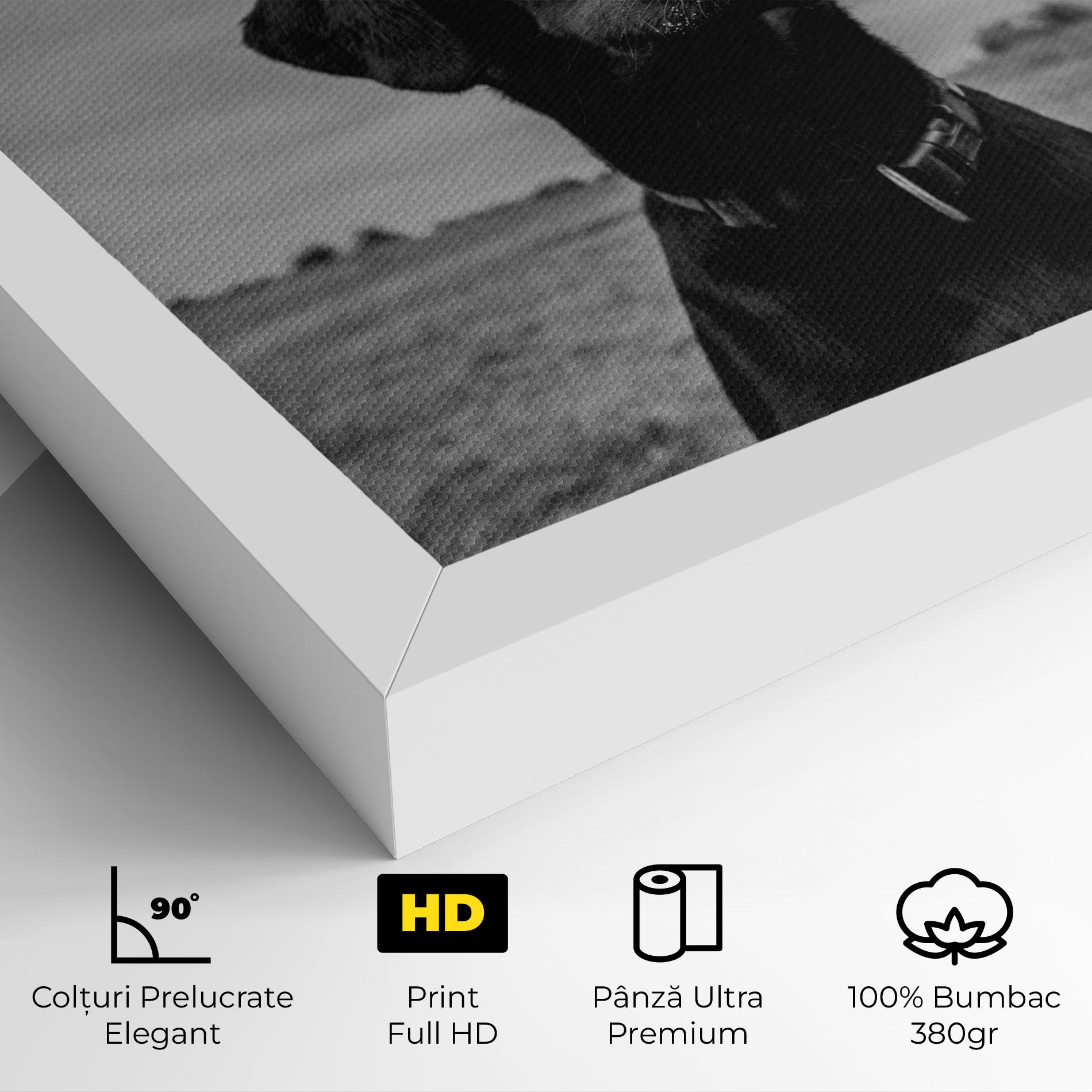 Tablou Canvas Black Dog mockup 4