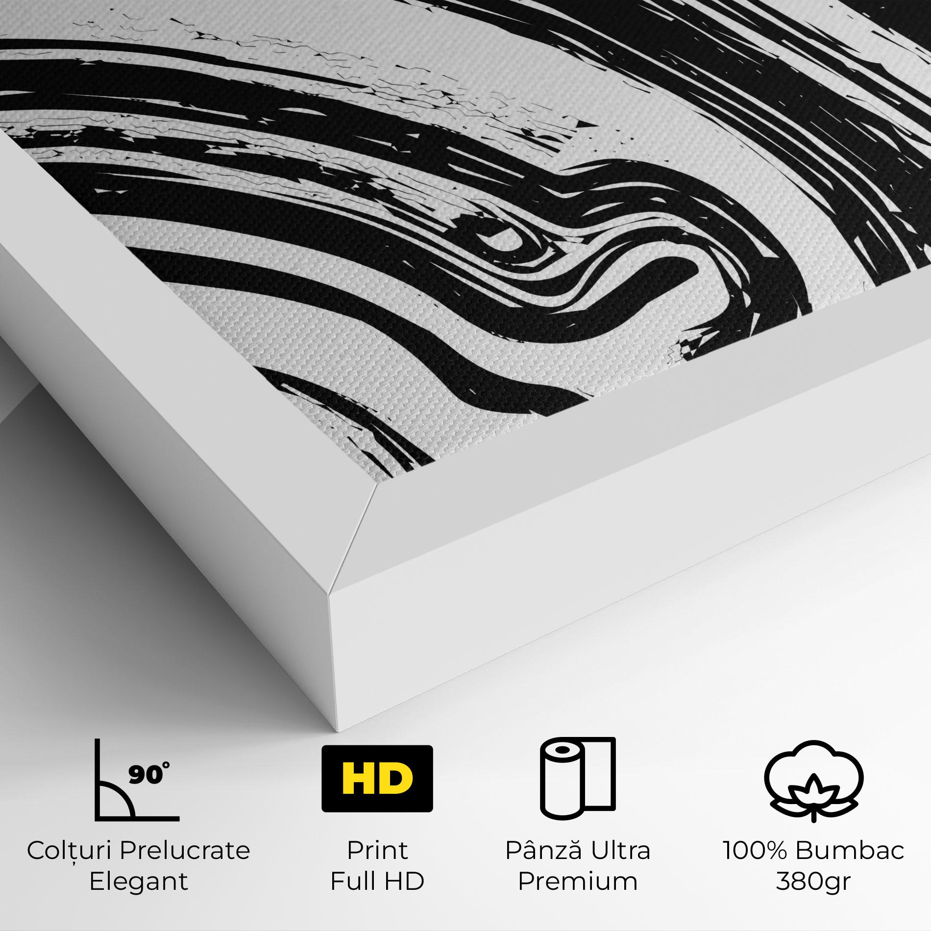 Tablou Canvas Black Liquid White mockup 4