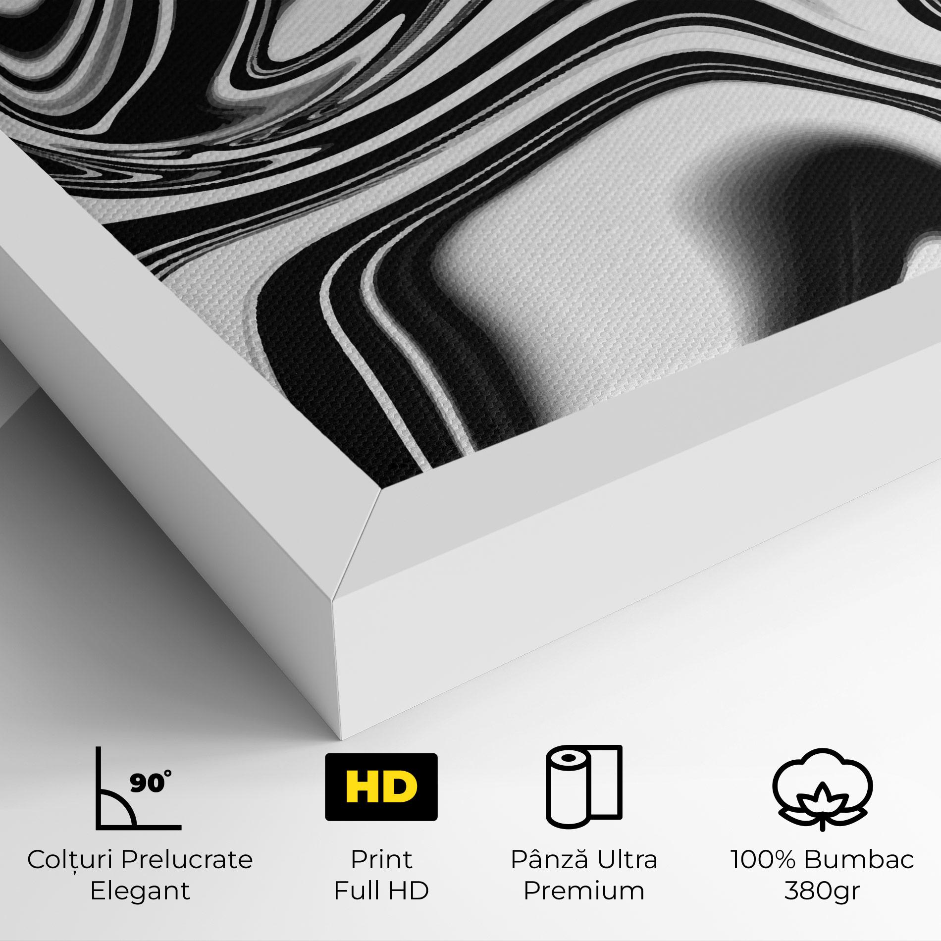 Tablou Canvas Black White Liquid mockup 4