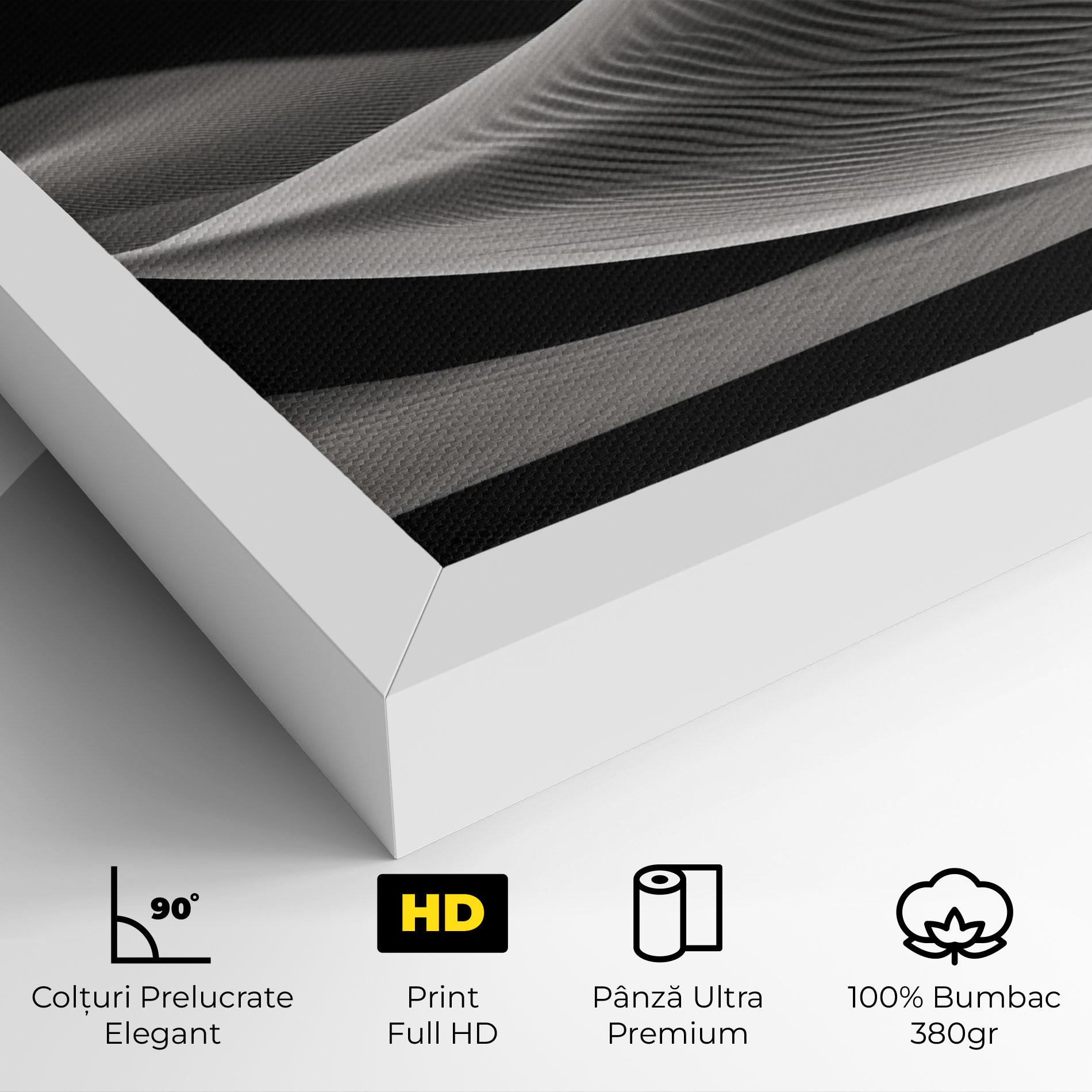 Tablou Canvas Dune Silhouette mockup 4