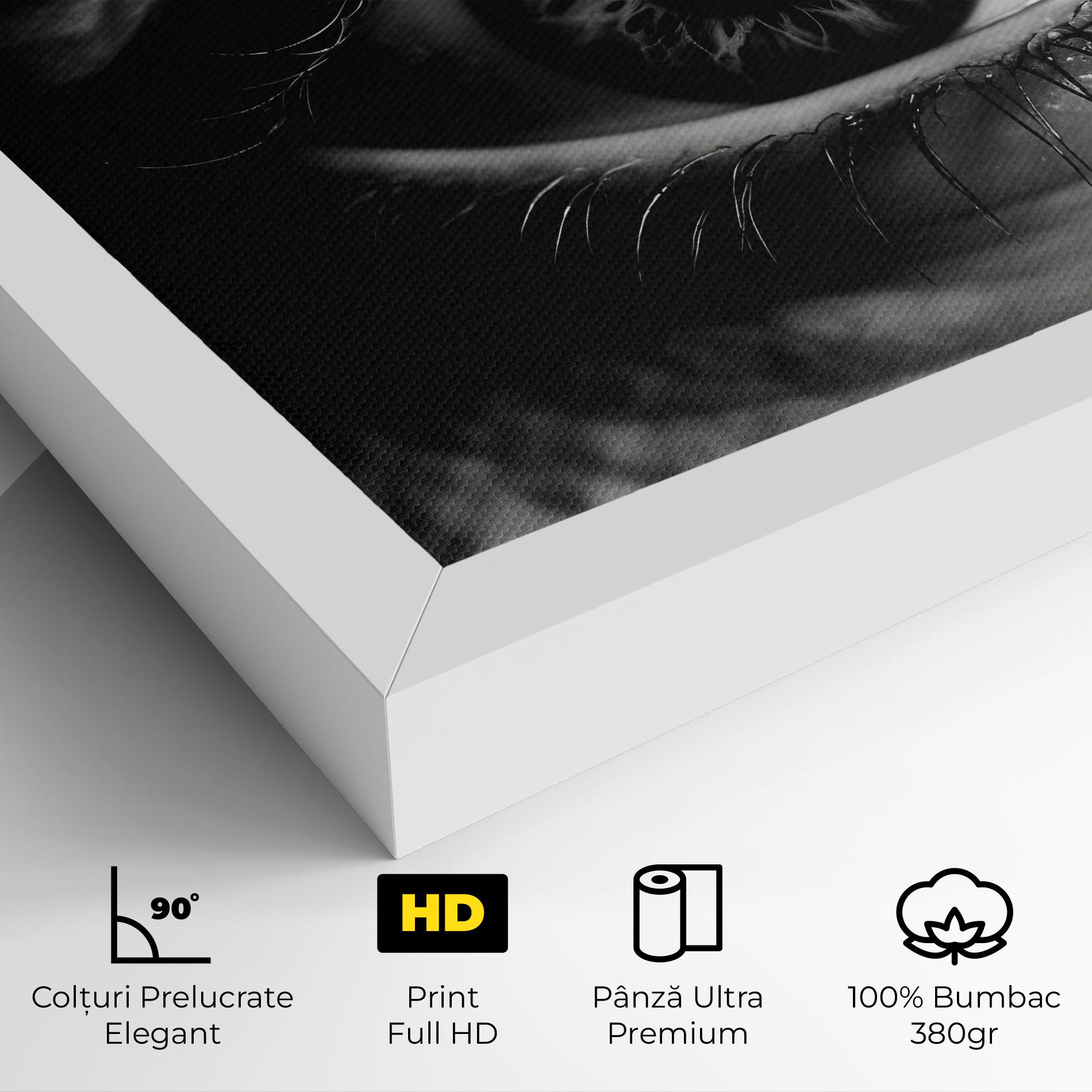 Tablou Canvas Eye Close Up mockup 4