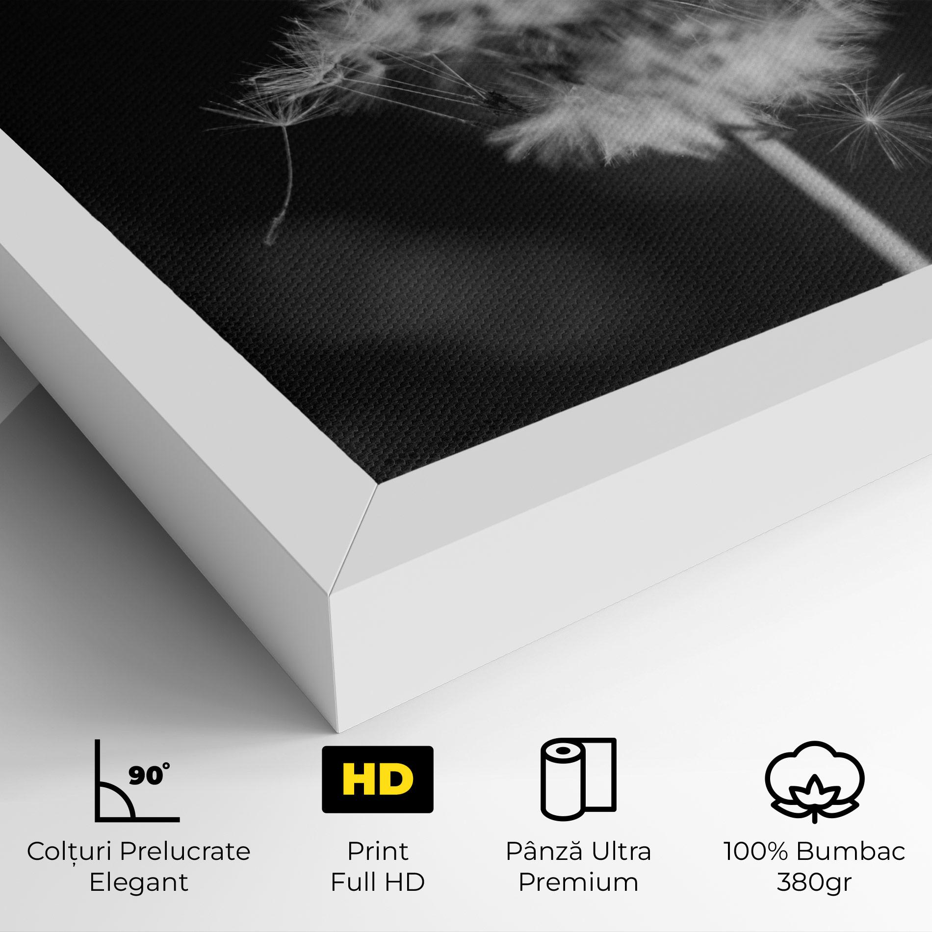 Tablou Canvas Grey Dandelion mockup 4