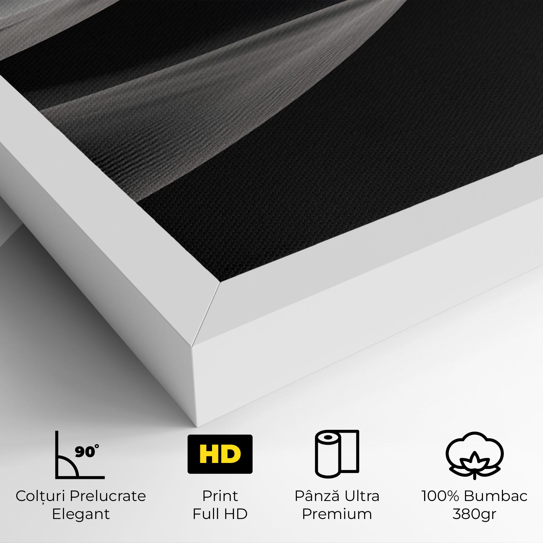 Tablou Canvas Grey Dune mockup 4
