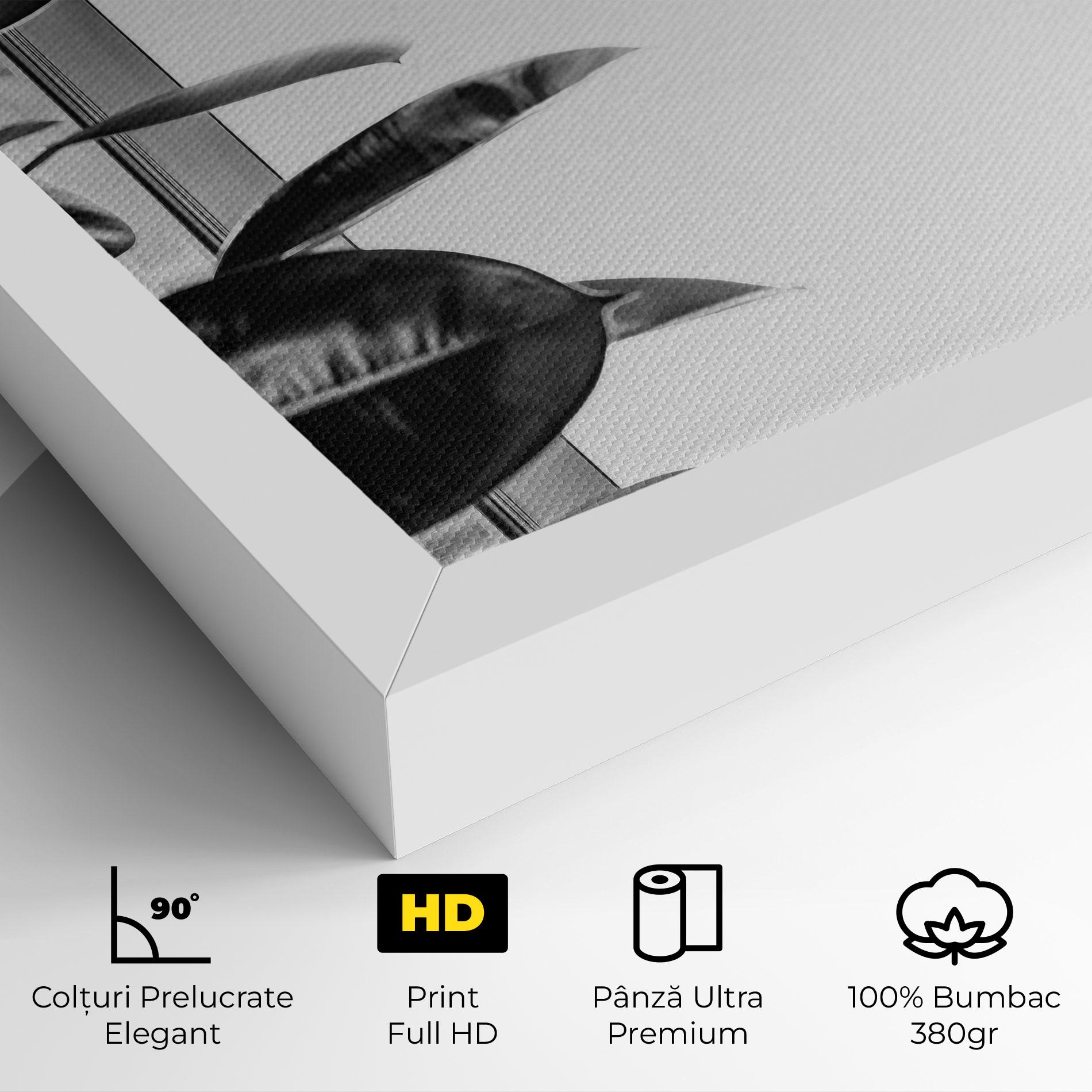 Tablou Canvas Grey Plant mockup 4