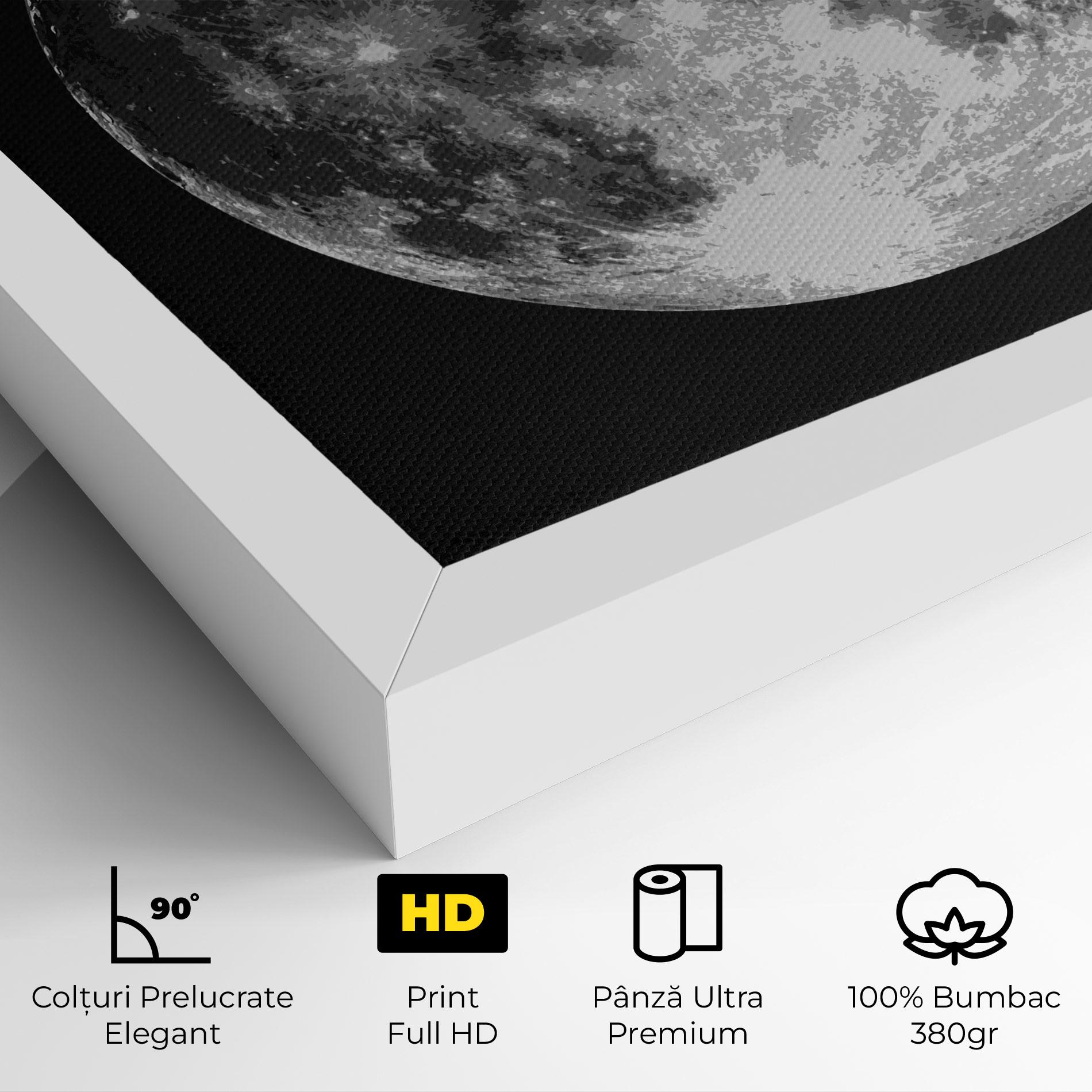 Tablou Canvas Grey Shiny Moon mockup 4