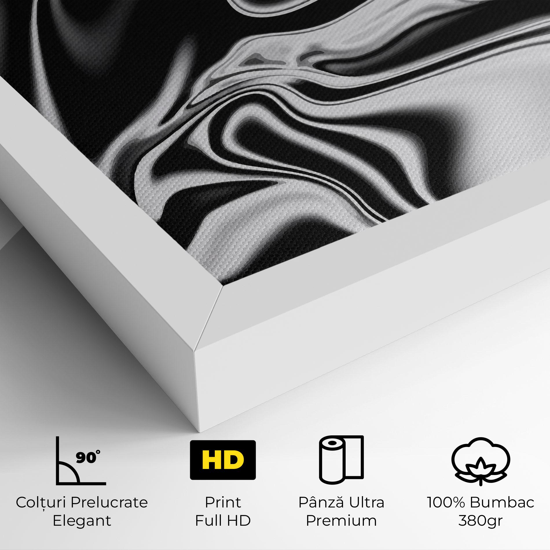 Tablou Canvas Silver Black Art mockup 4