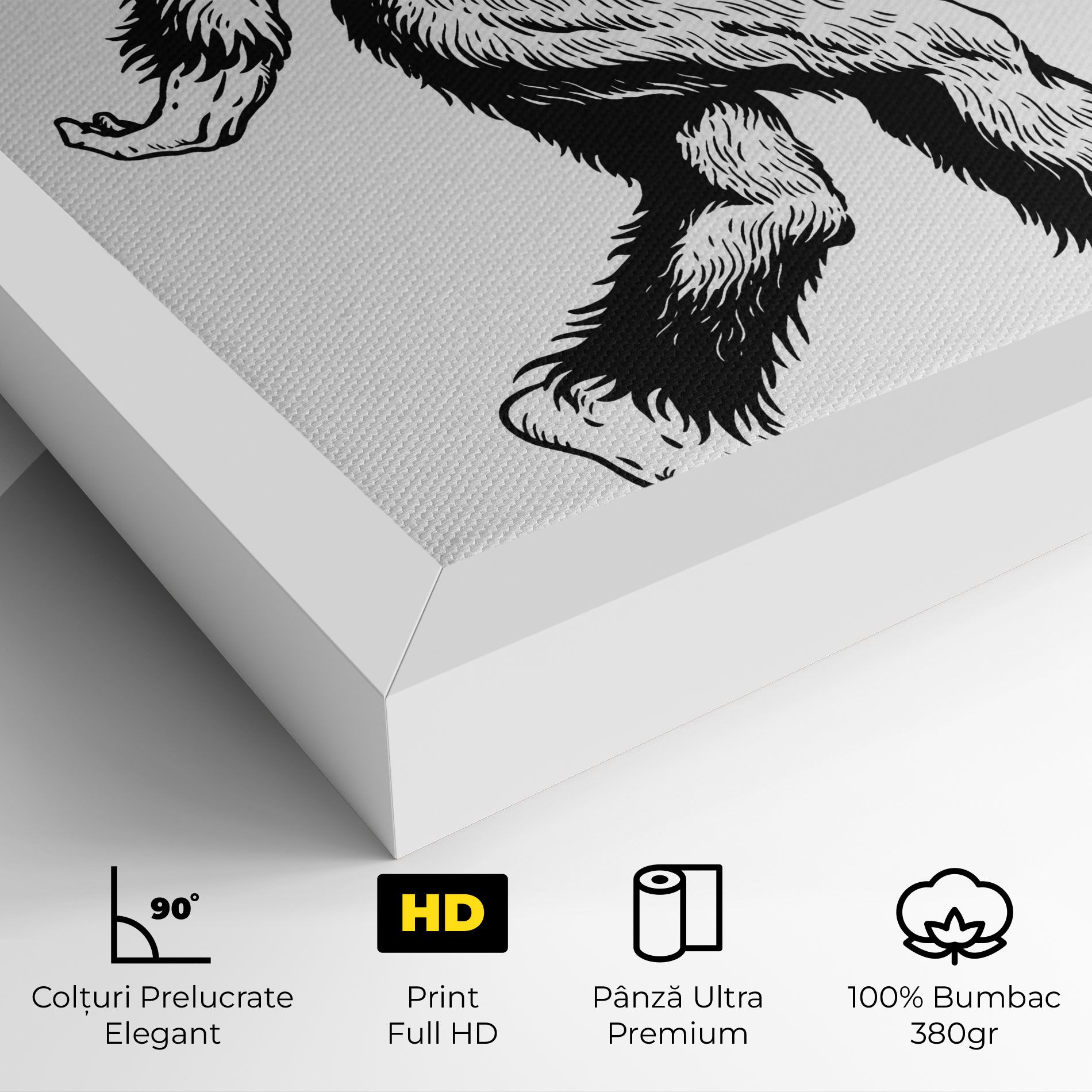 Yeti mockup 4