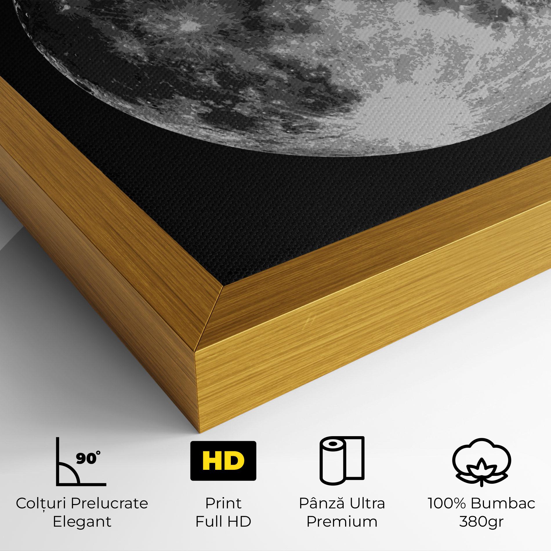 Tablou Canvas Grey Shiny Moon mockup 4