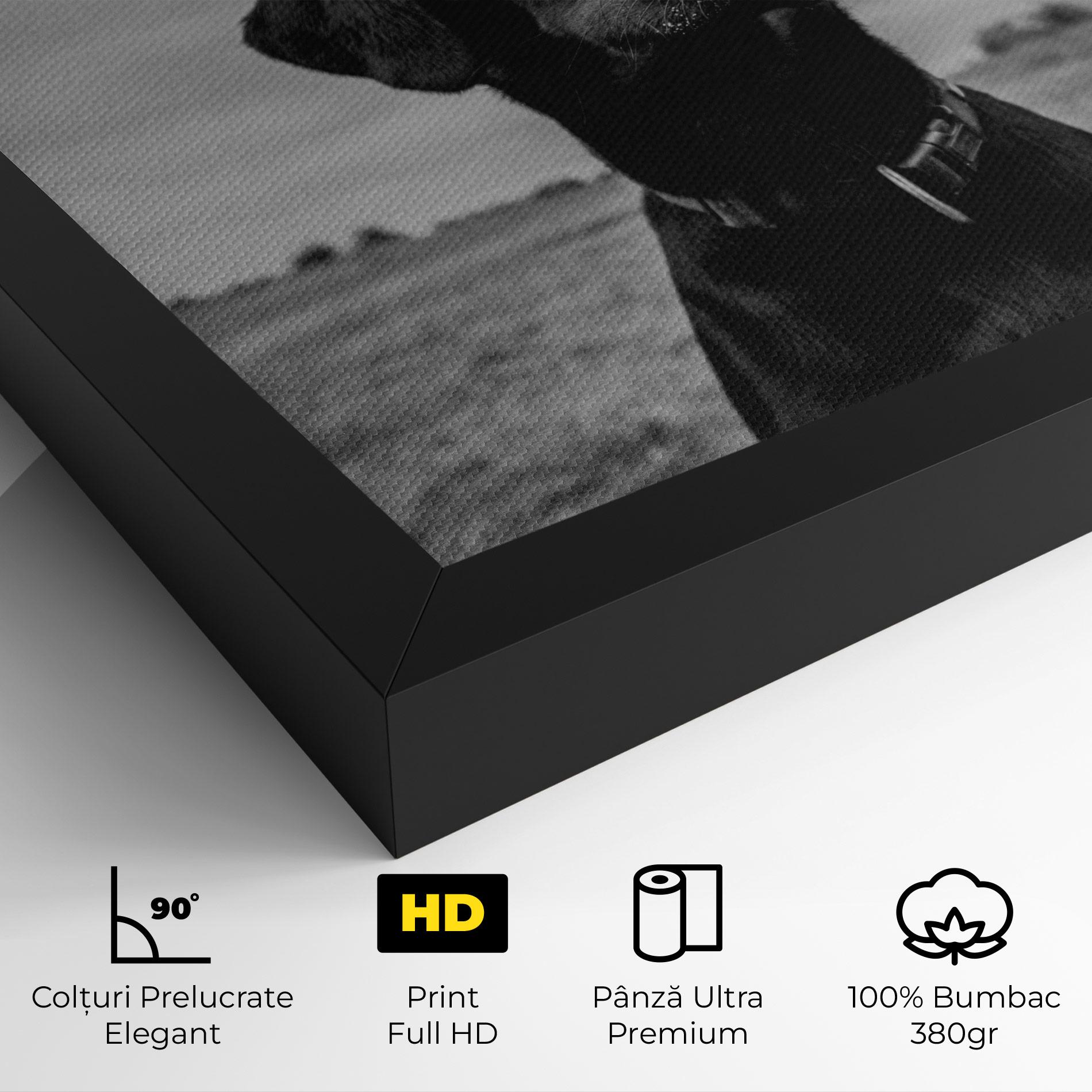 Tablou Canvas Black Dog mockup 4