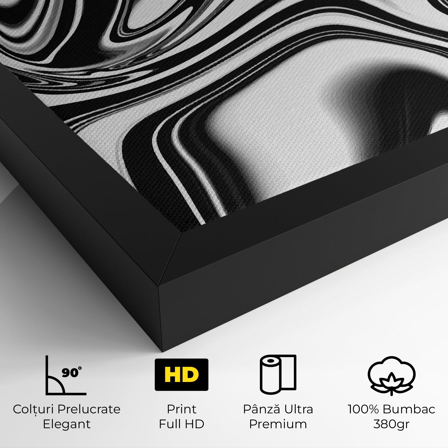 Tablou Canvas Black White Liquid mockup 4