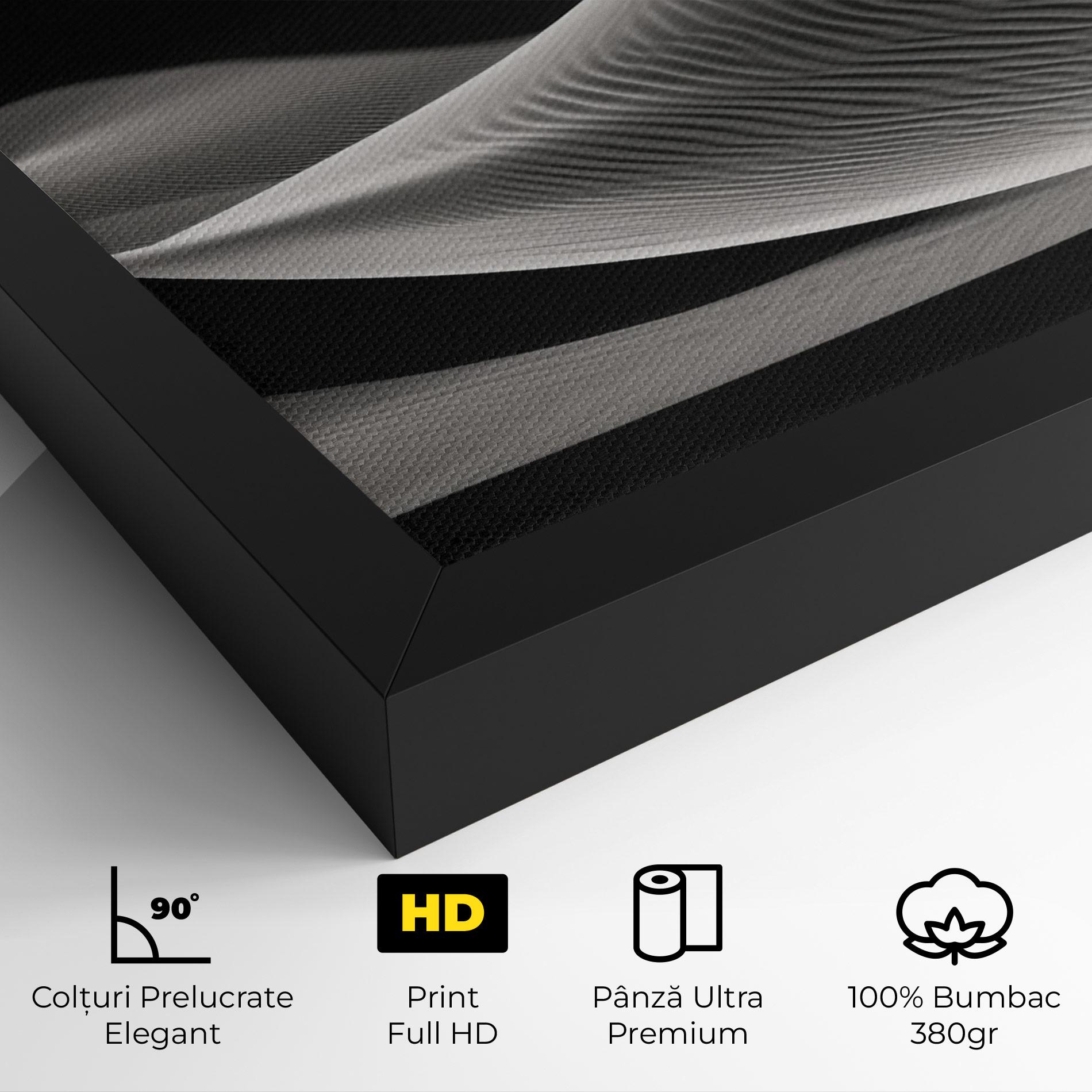 Tablou Canvas Dune Silhouette mockup 4