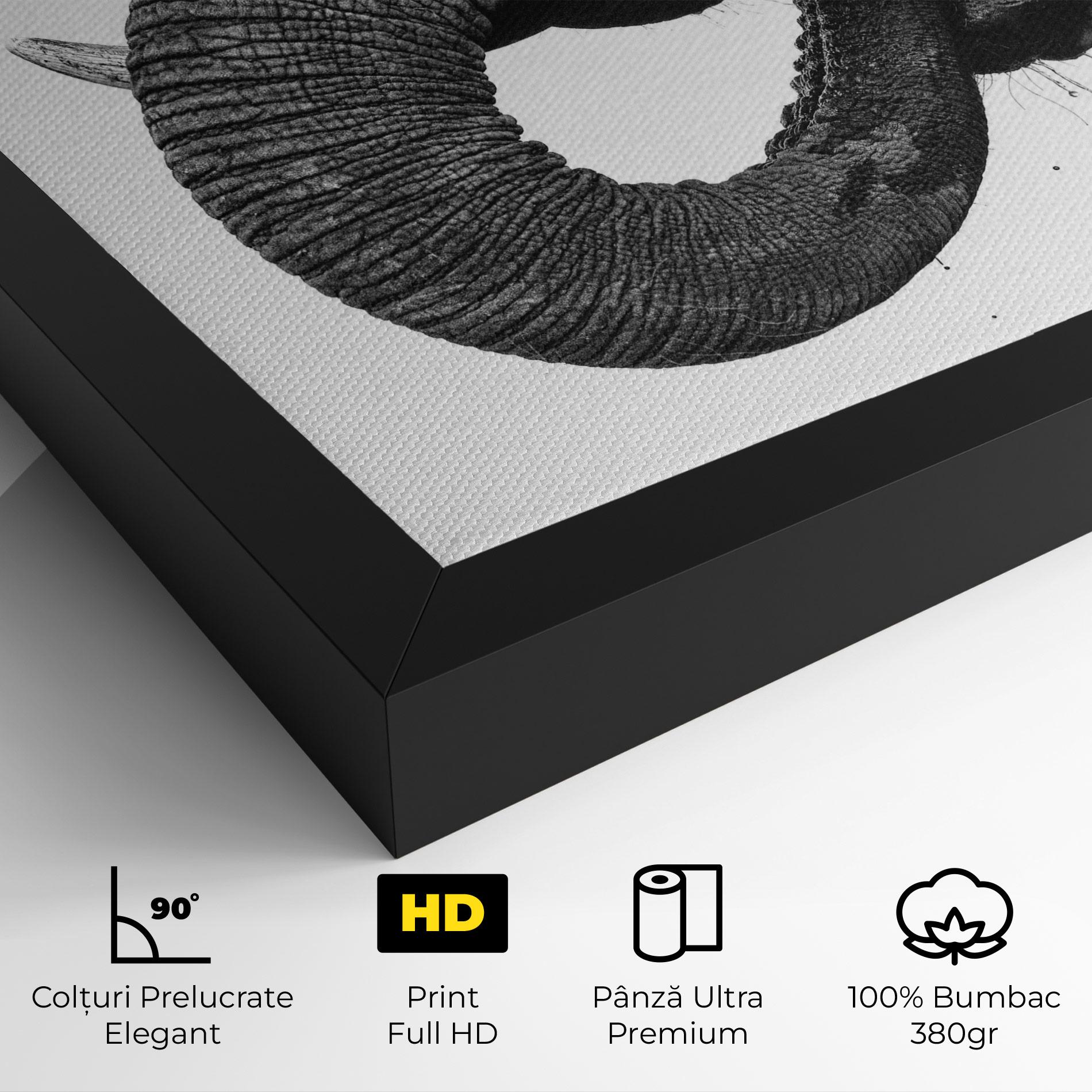 Tablou Canvas Elephant Drinking mockup 4