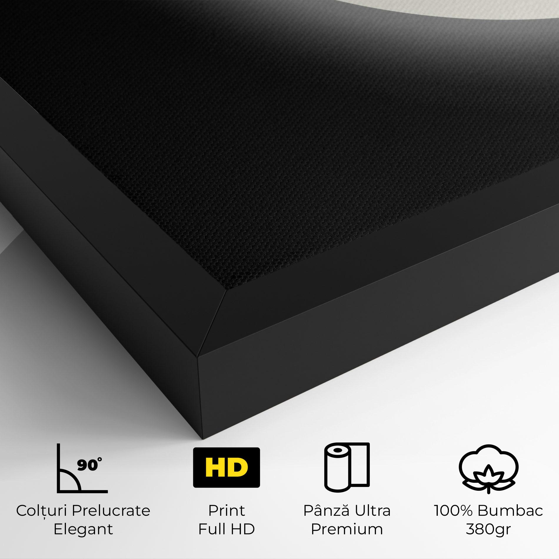 Tablou Canvas Full Moon Leaf mockup 4