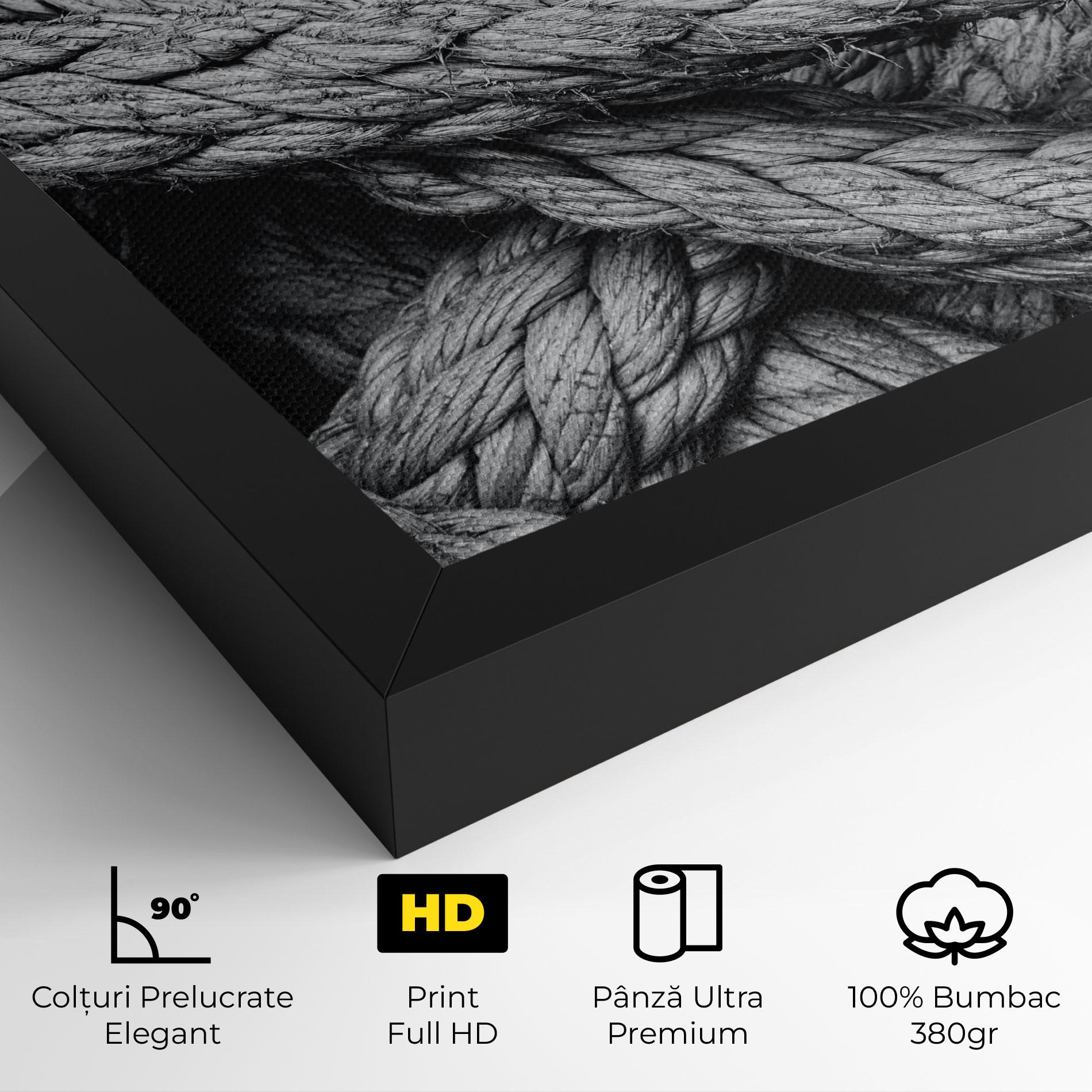 Tablou Canvas Gray String mockup 4