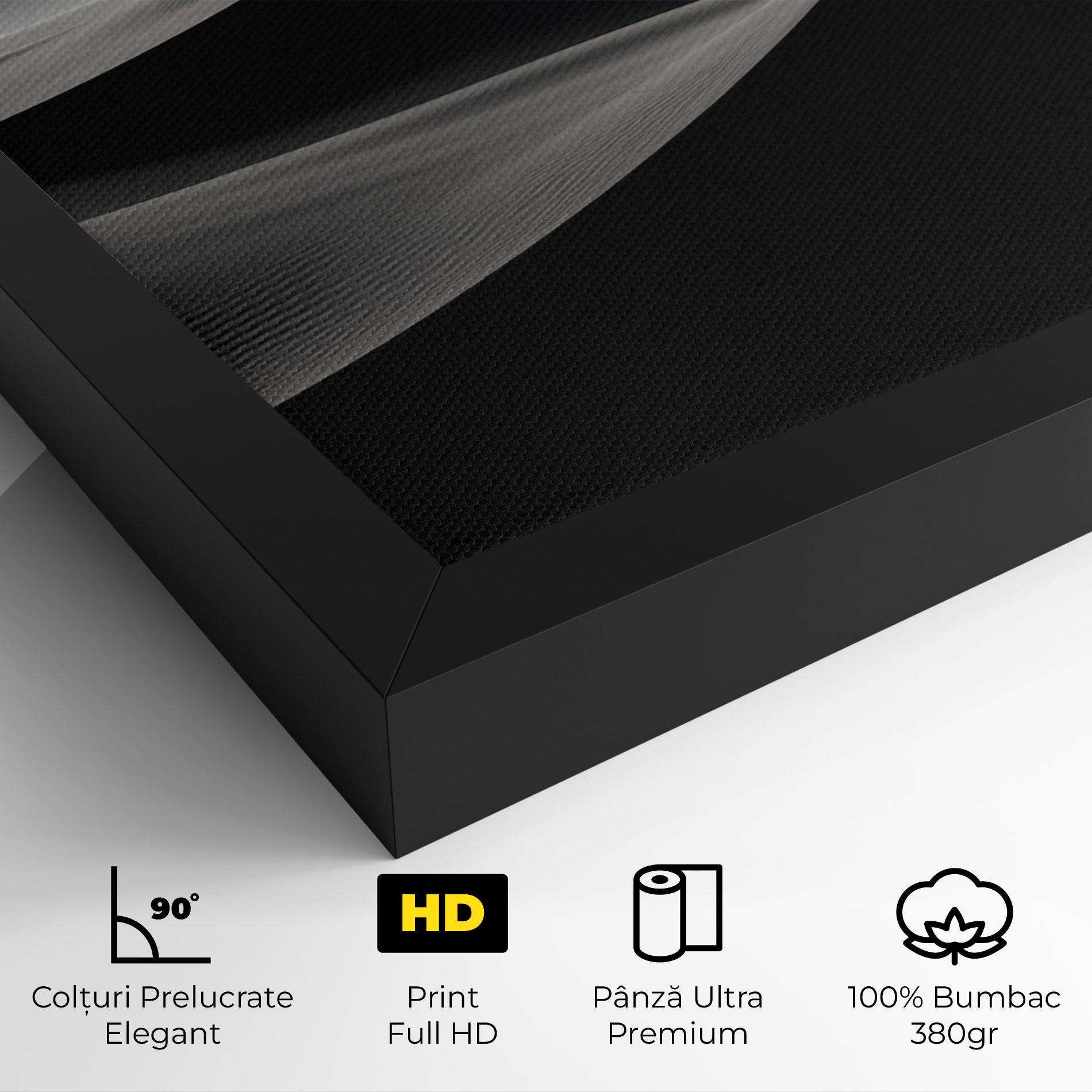 Tablou Canvas Grey Dune mockup 4