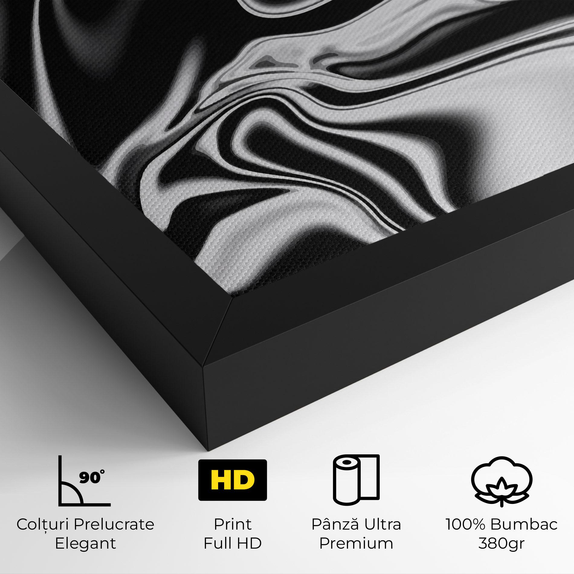 Tablou Canvas Silver Black Art mockup 4