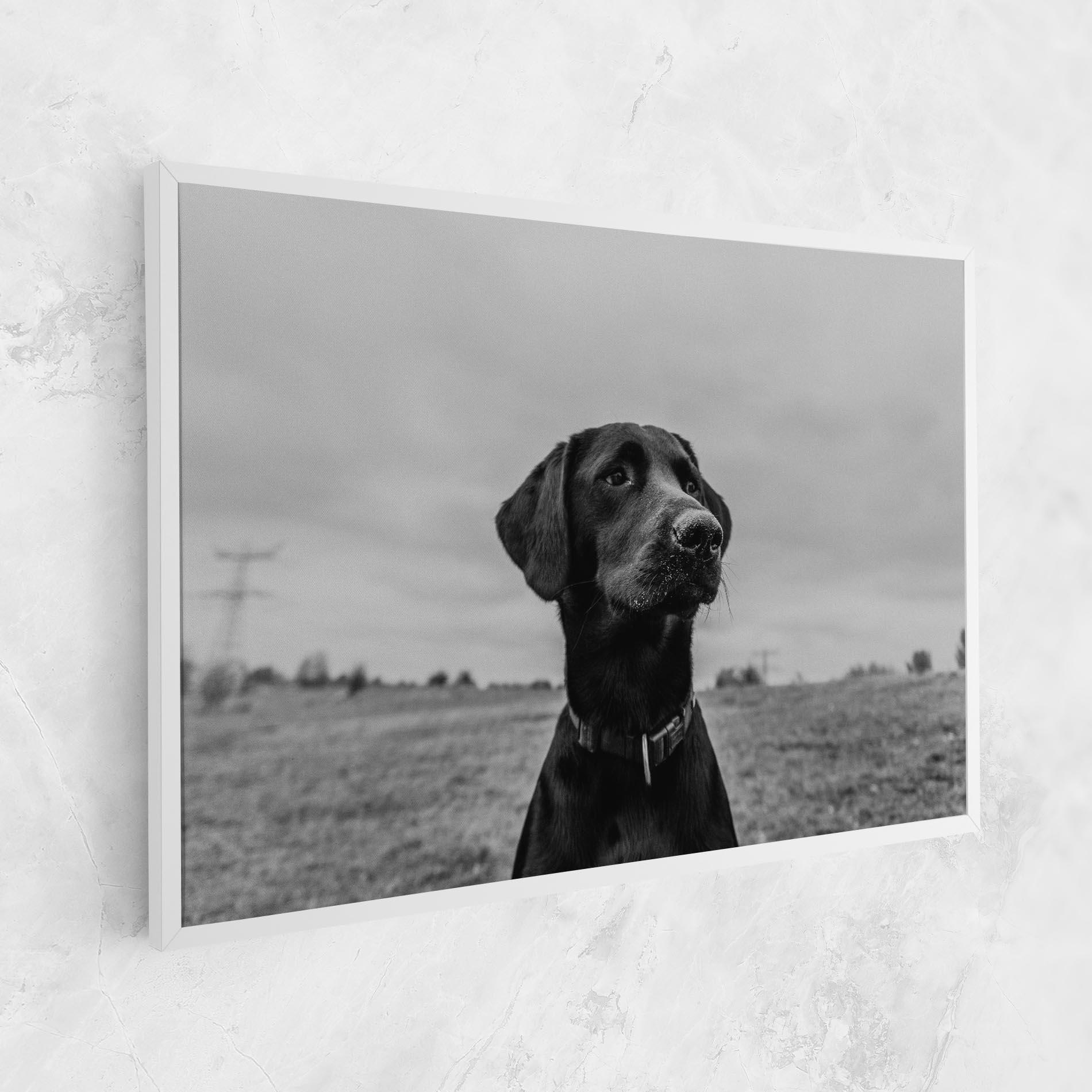 Tablou Canvas Black Dog mockup 1