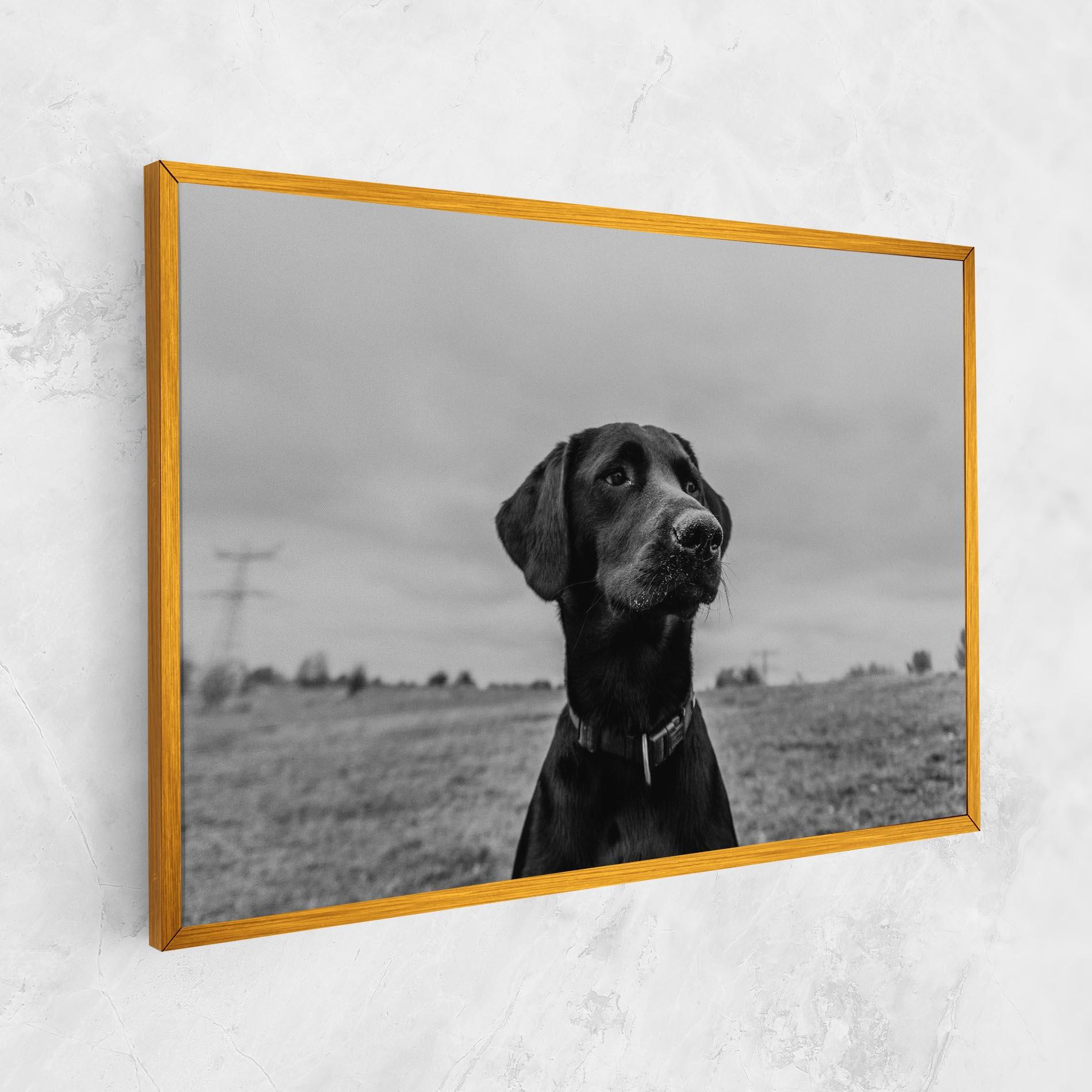 Tablou Canvas Black Dog mockup 1