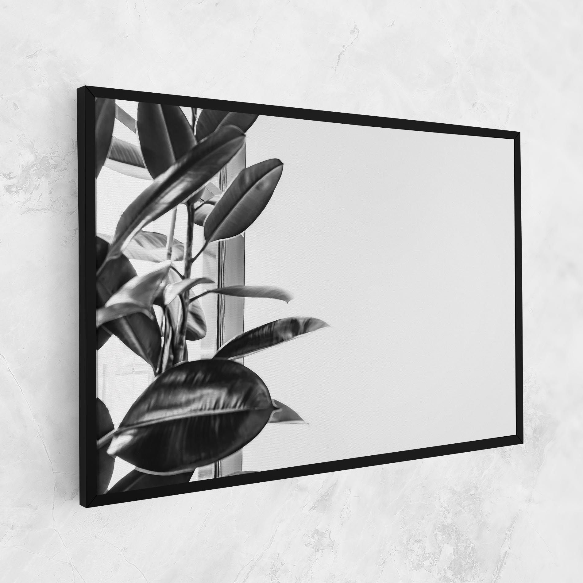 Grey Plant mockup 1