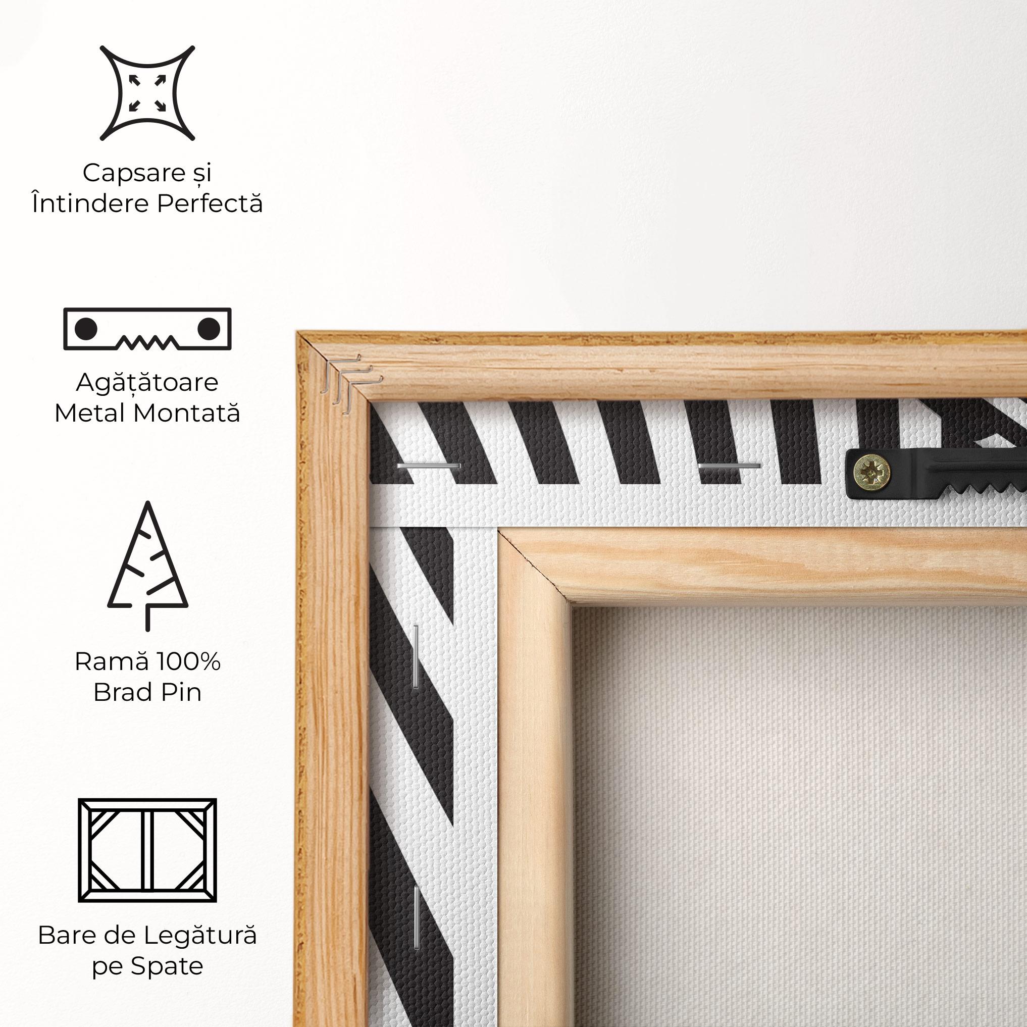 Tablou Canvas 3d Ball Zebra mockup 5