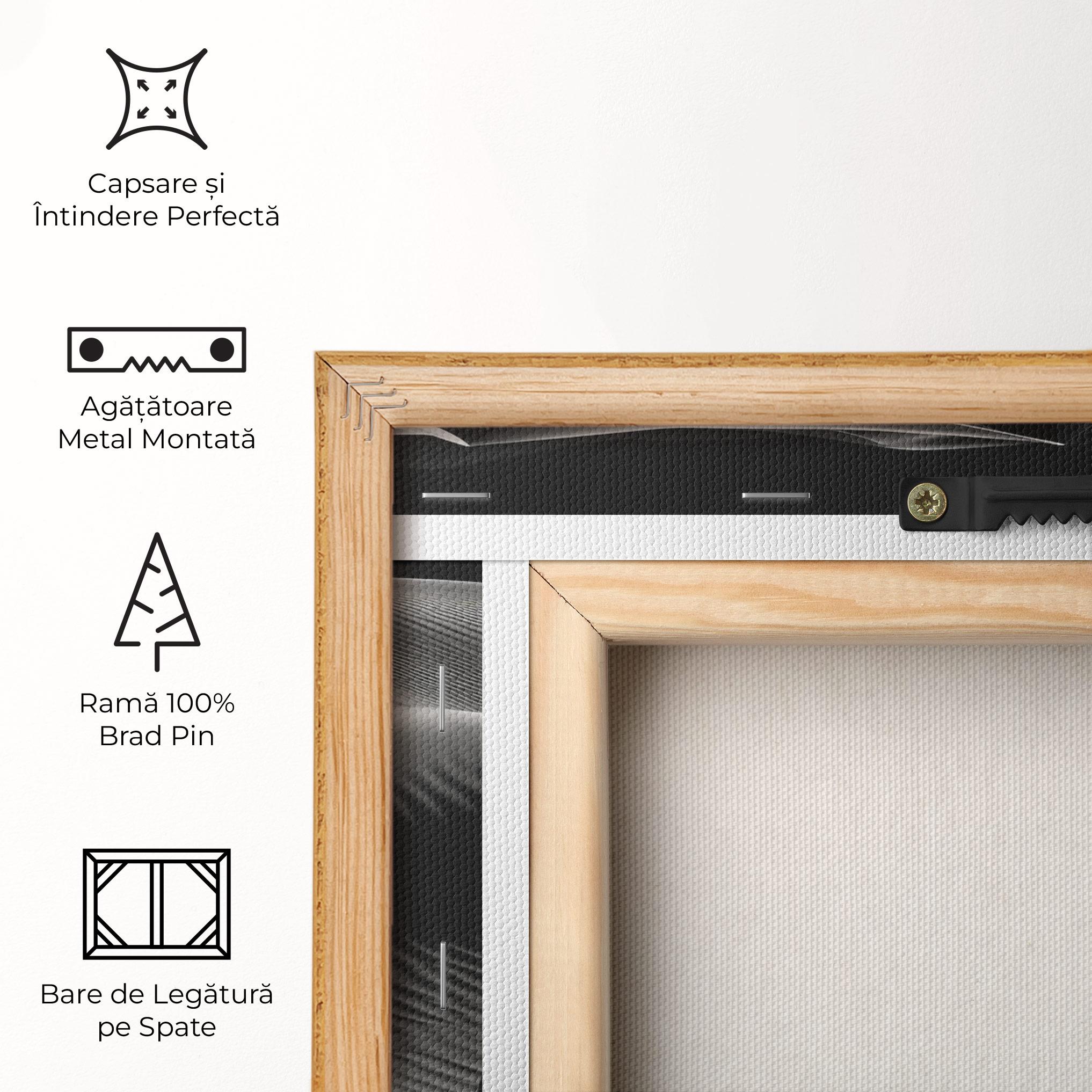 Tablou Canvas Dune Silhouette mockup 5