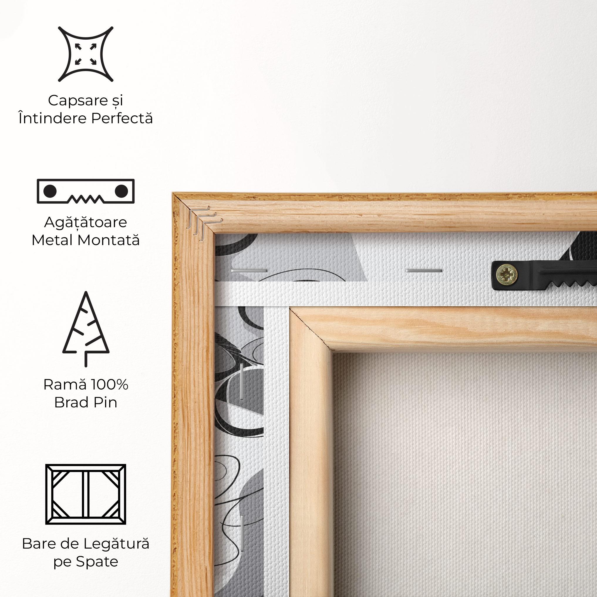 Tablou Canvas Grey Face Woman mockup 5