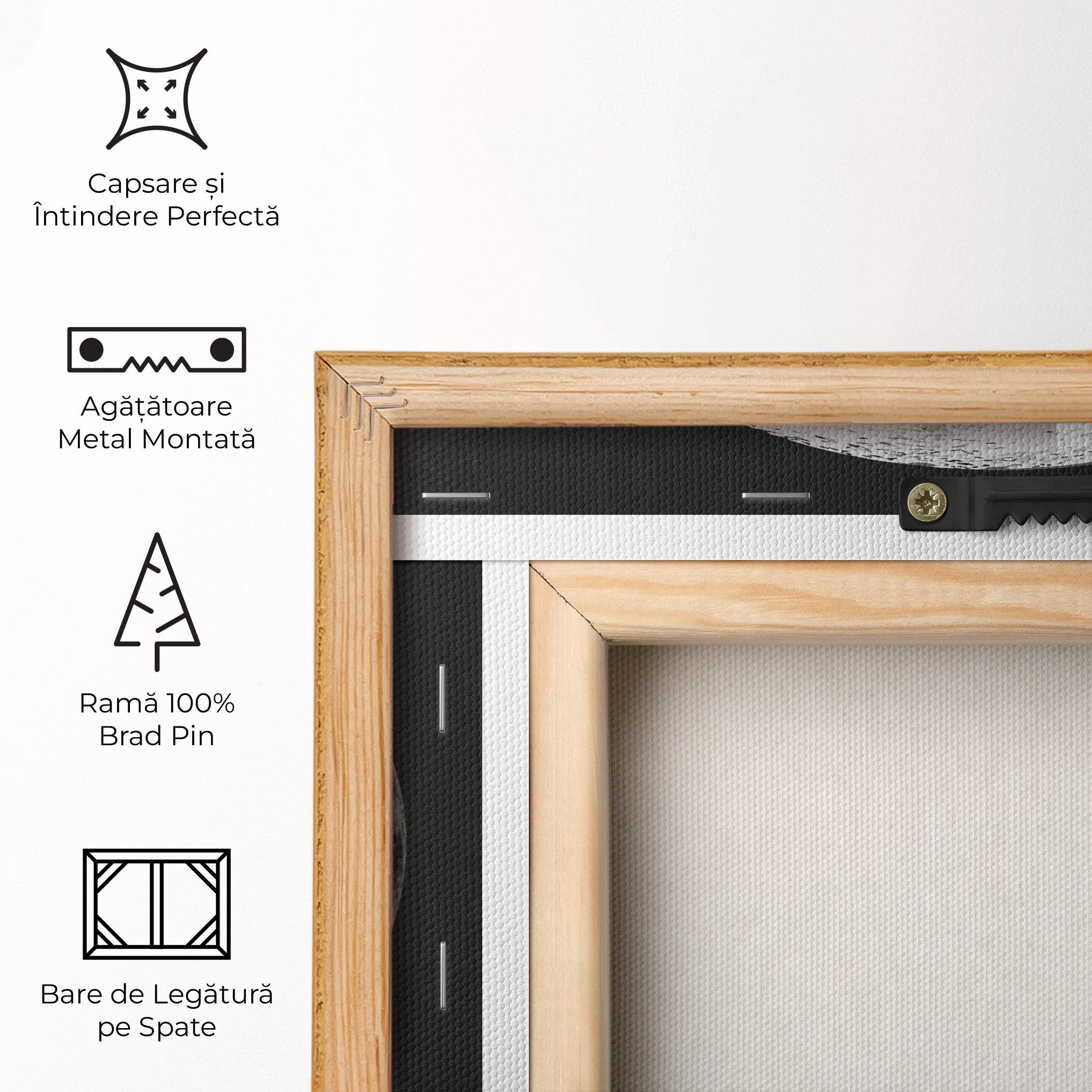 Tablou Canvas Grey Shiny Moon mockup 5