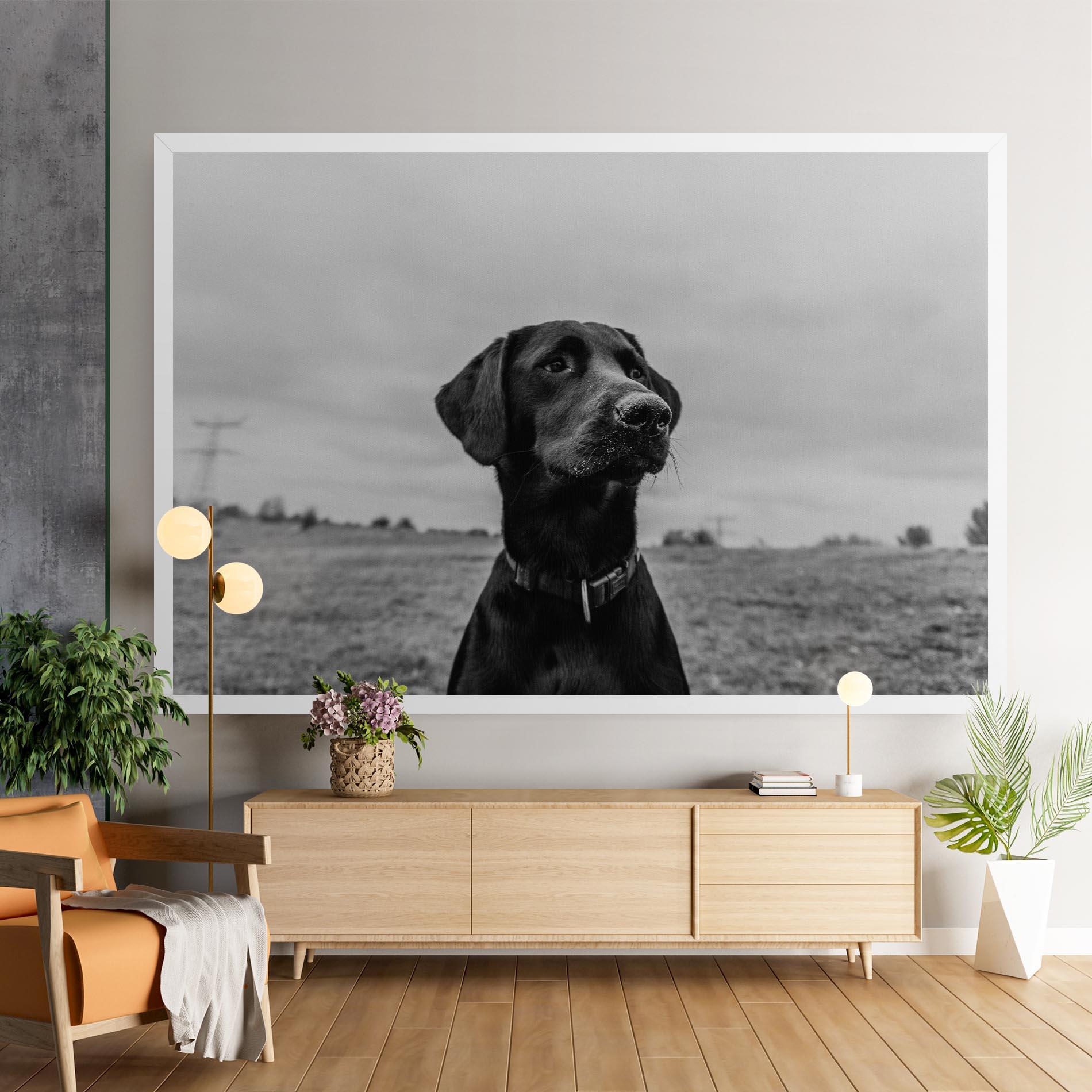 Tablou Canvas Black Dog mockup 9
