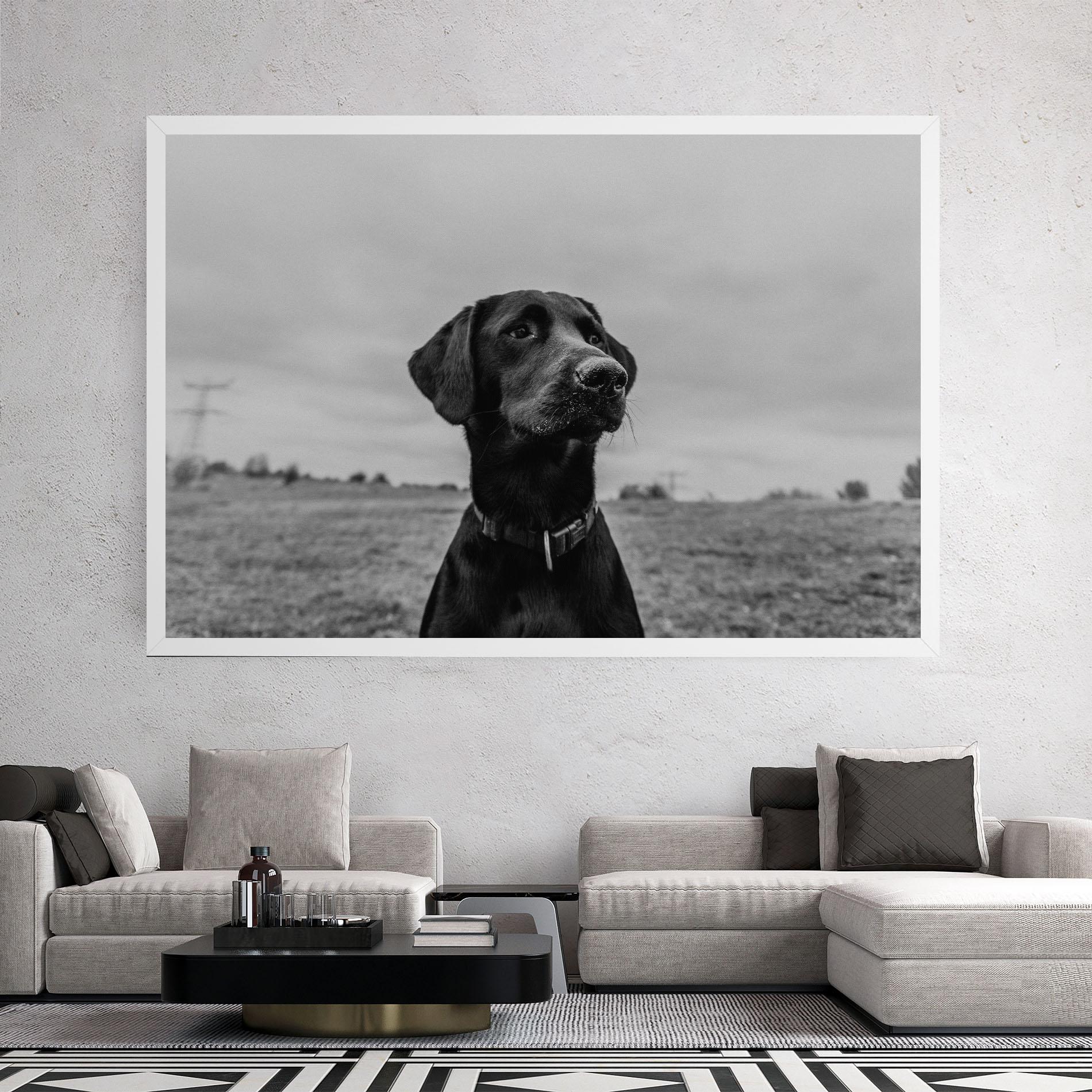 Tablou Canvas Black Dog mockup 2