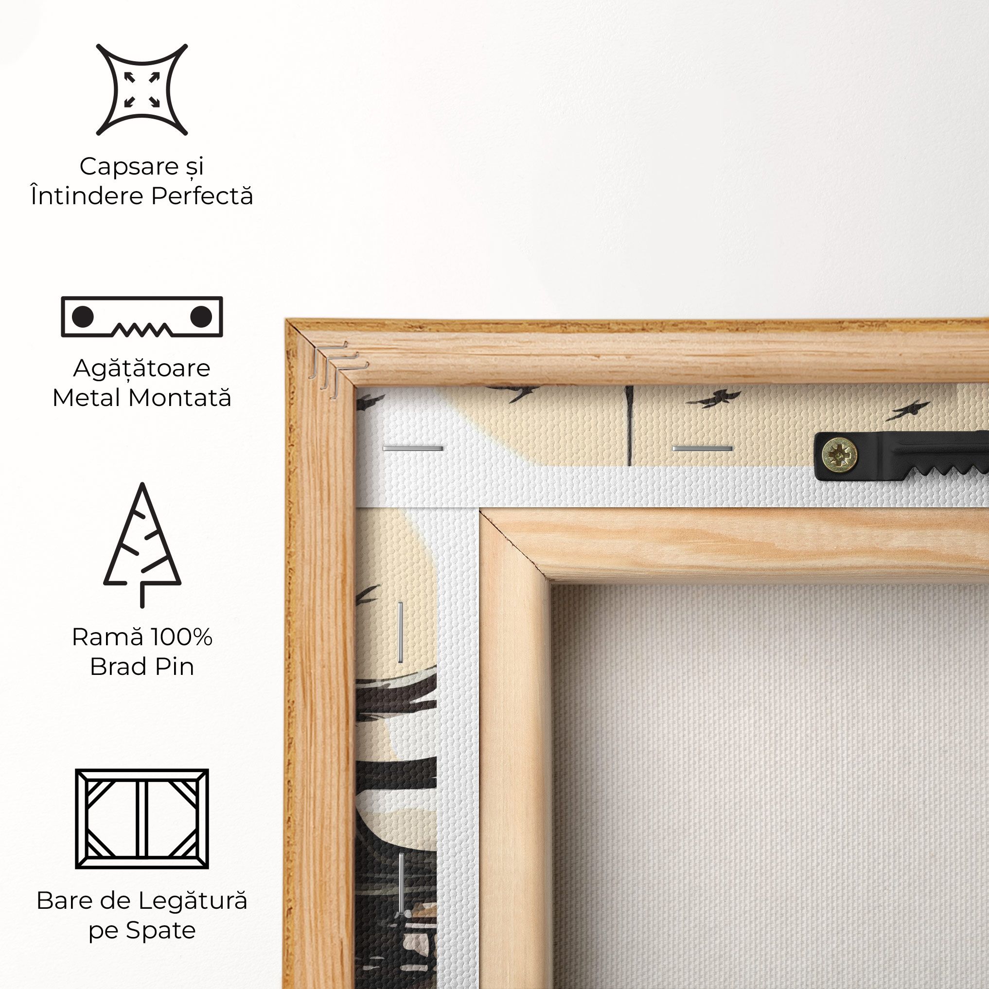 Asiatic Beautiful View mockup 5