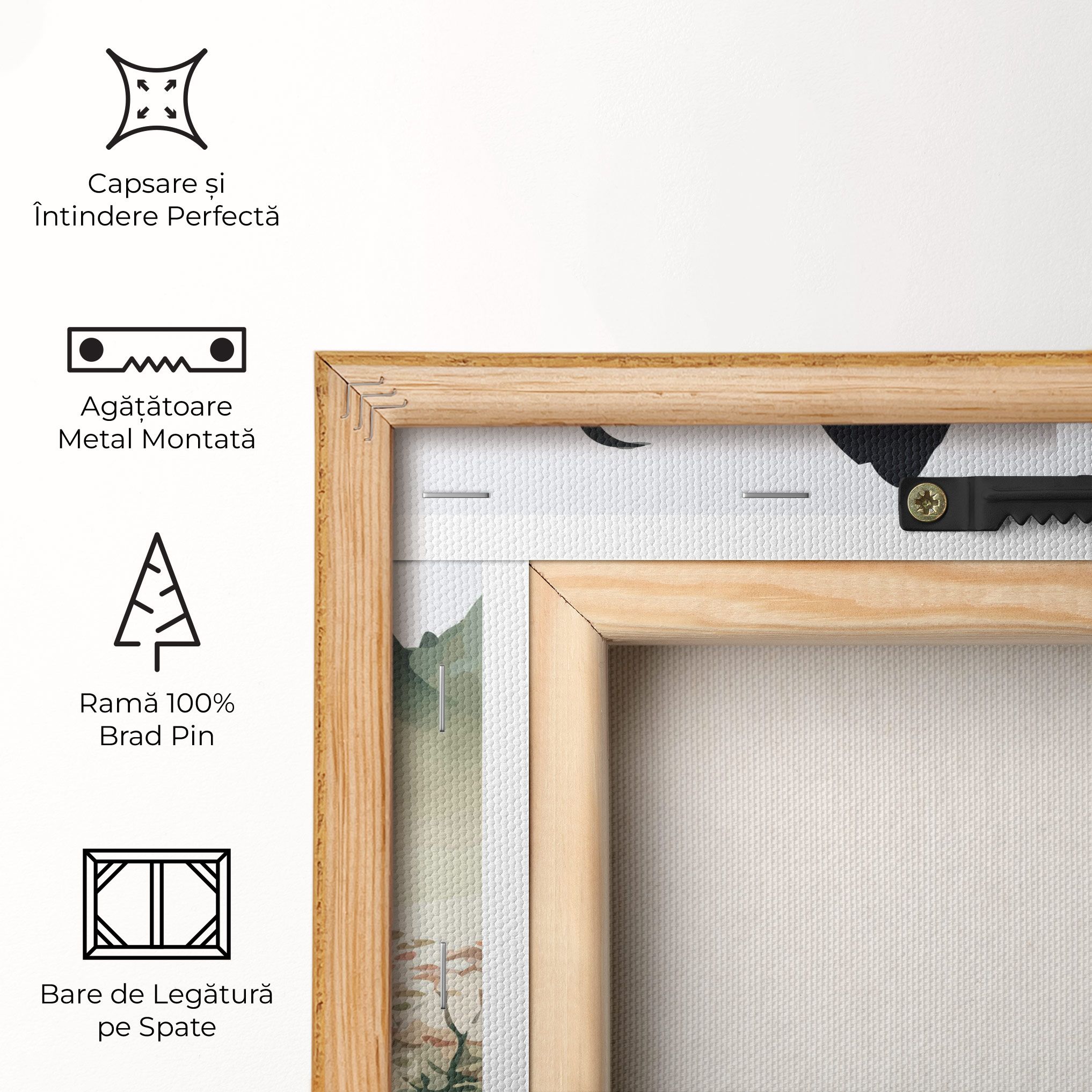 Green Mountain Moon mockup 5