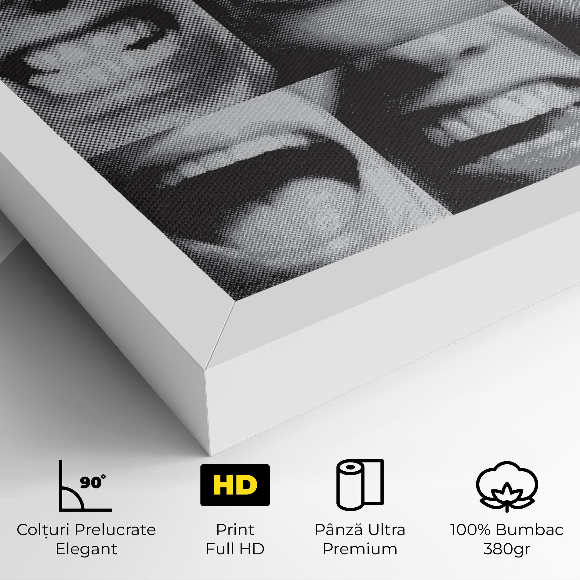 Tablou Canvas Grey Mouth Collage mockup 4