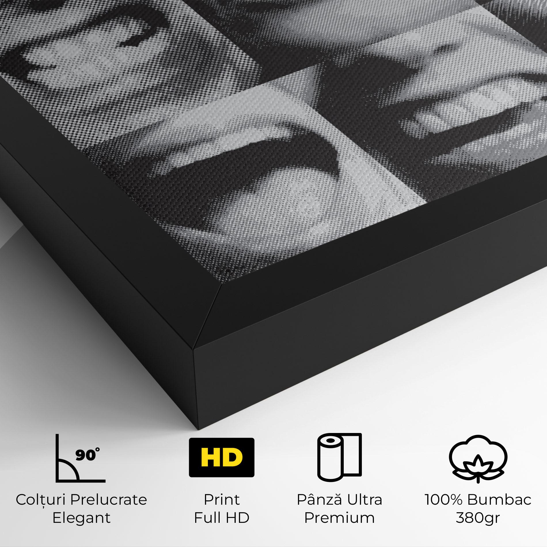 Tablou Canvas Grey Mouth Collage mockup 4