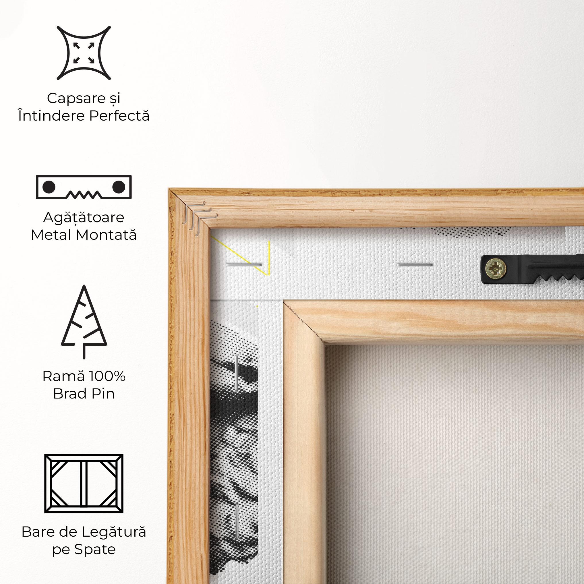 Tablou Canvas Lion Collage mockup 5