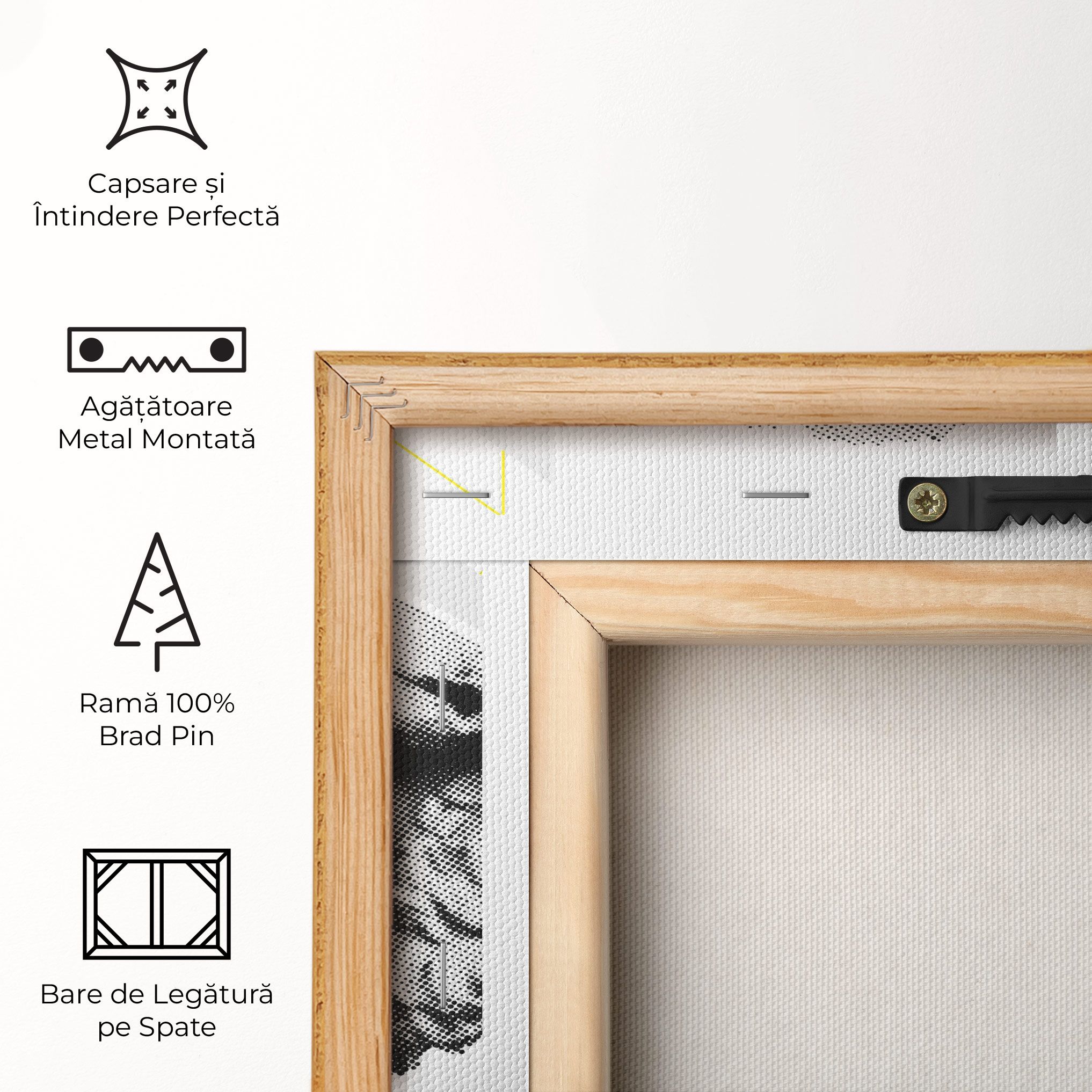 Lion Collage mockup 5