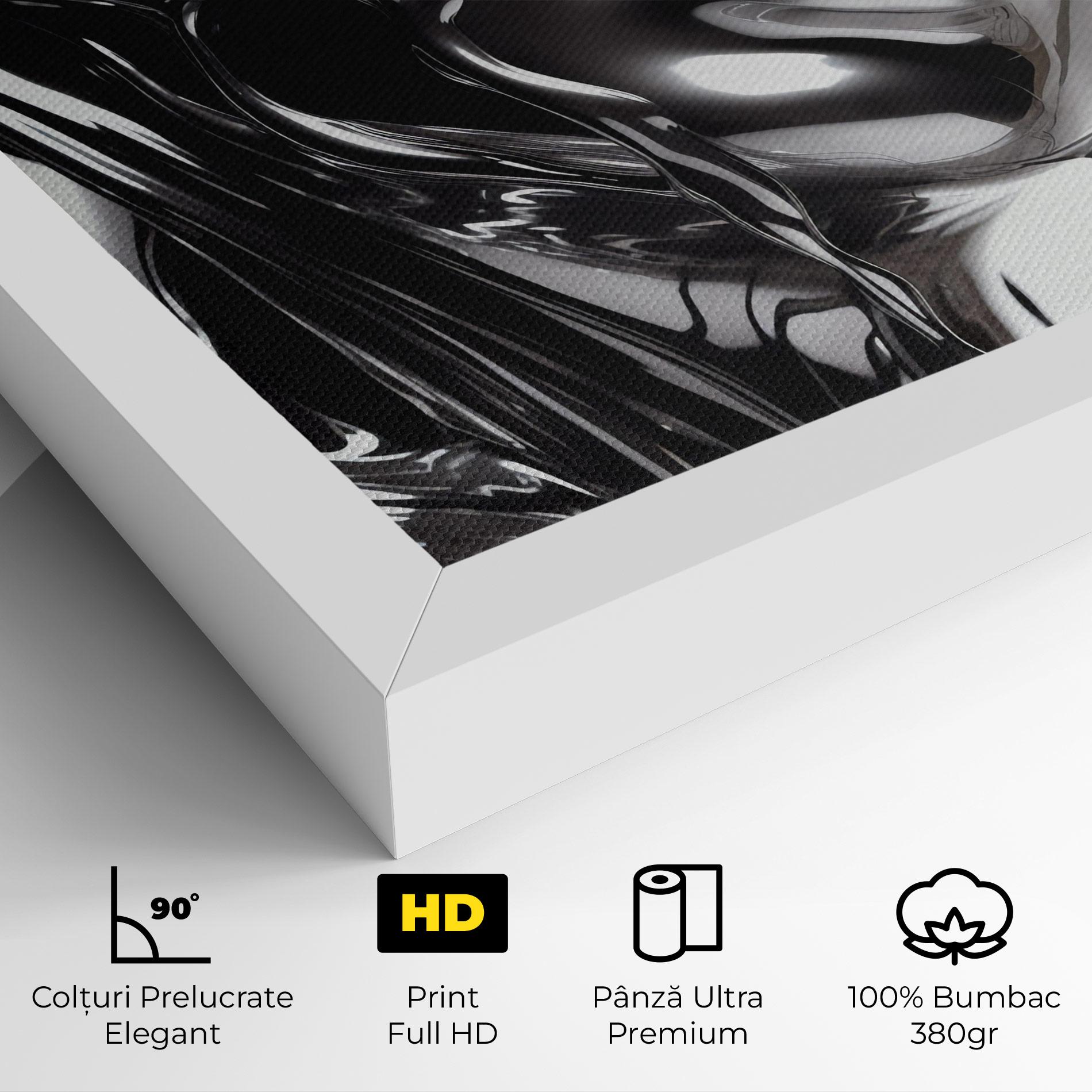 Tablou Canvas Silver Liquid Woman mockup 4