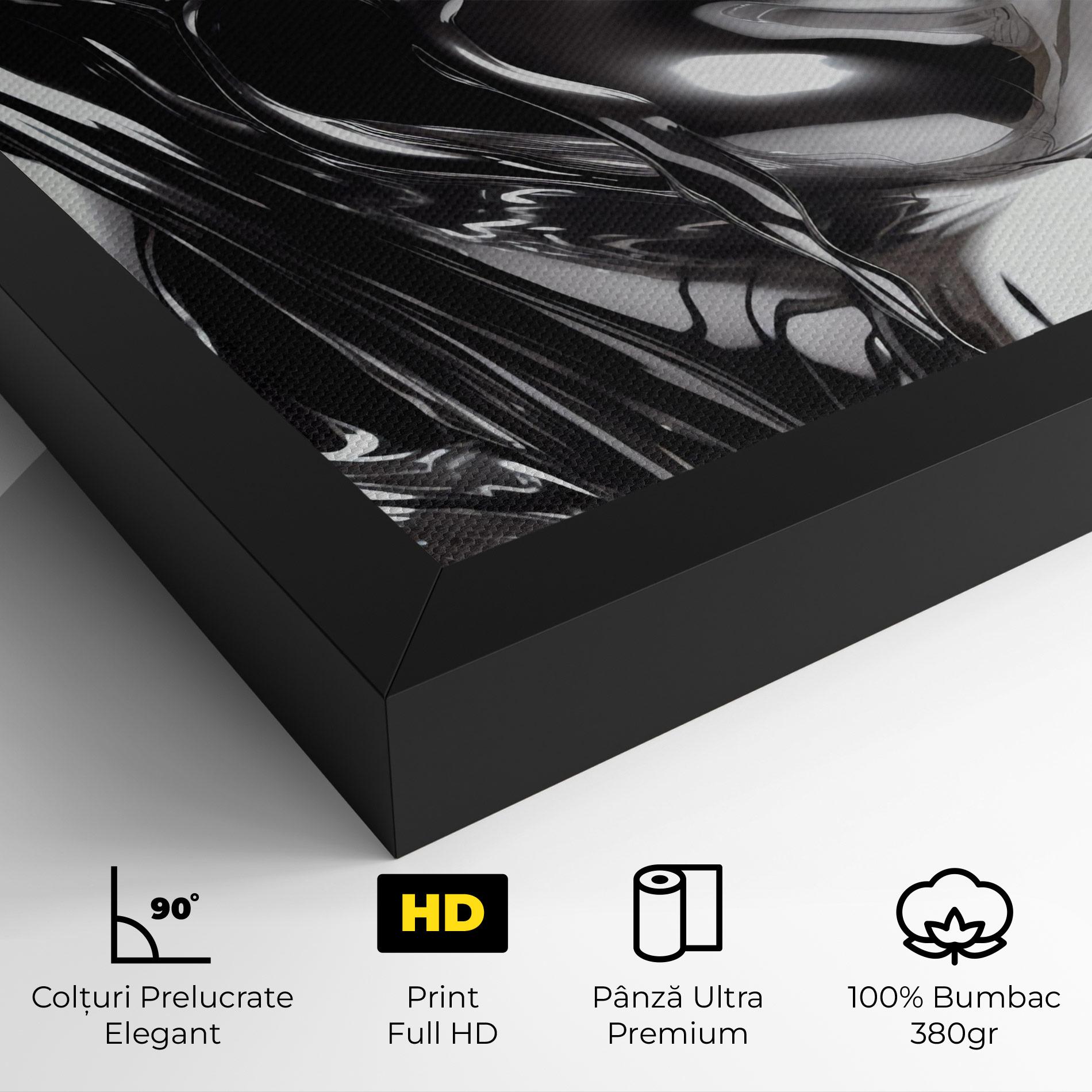 Tablou Canvas Silver Liquid Woman mockup 4