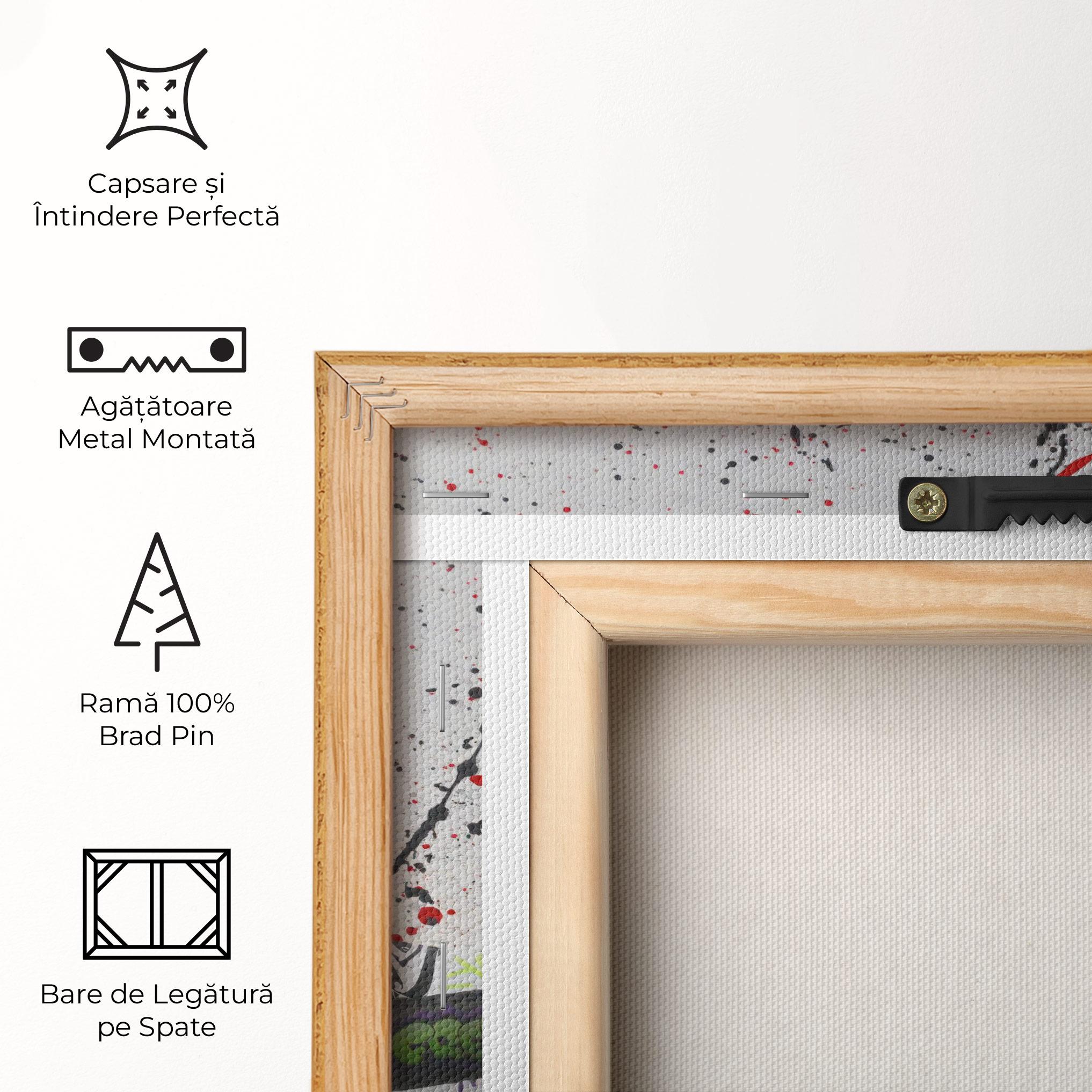 Tablou Canvas Jordan Drip mockup 5