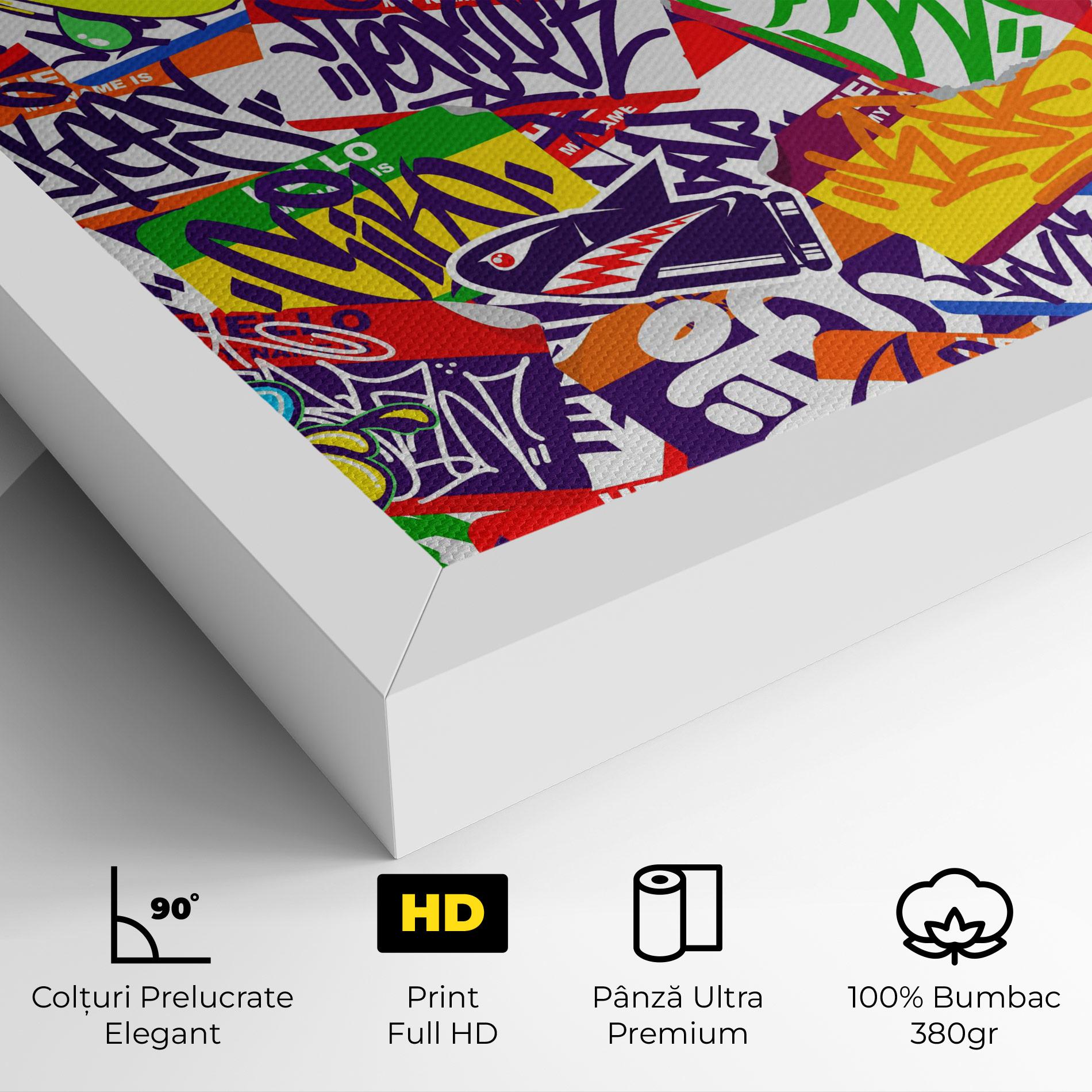 Tablou Canvas Hello Graffiti Name mockup 4