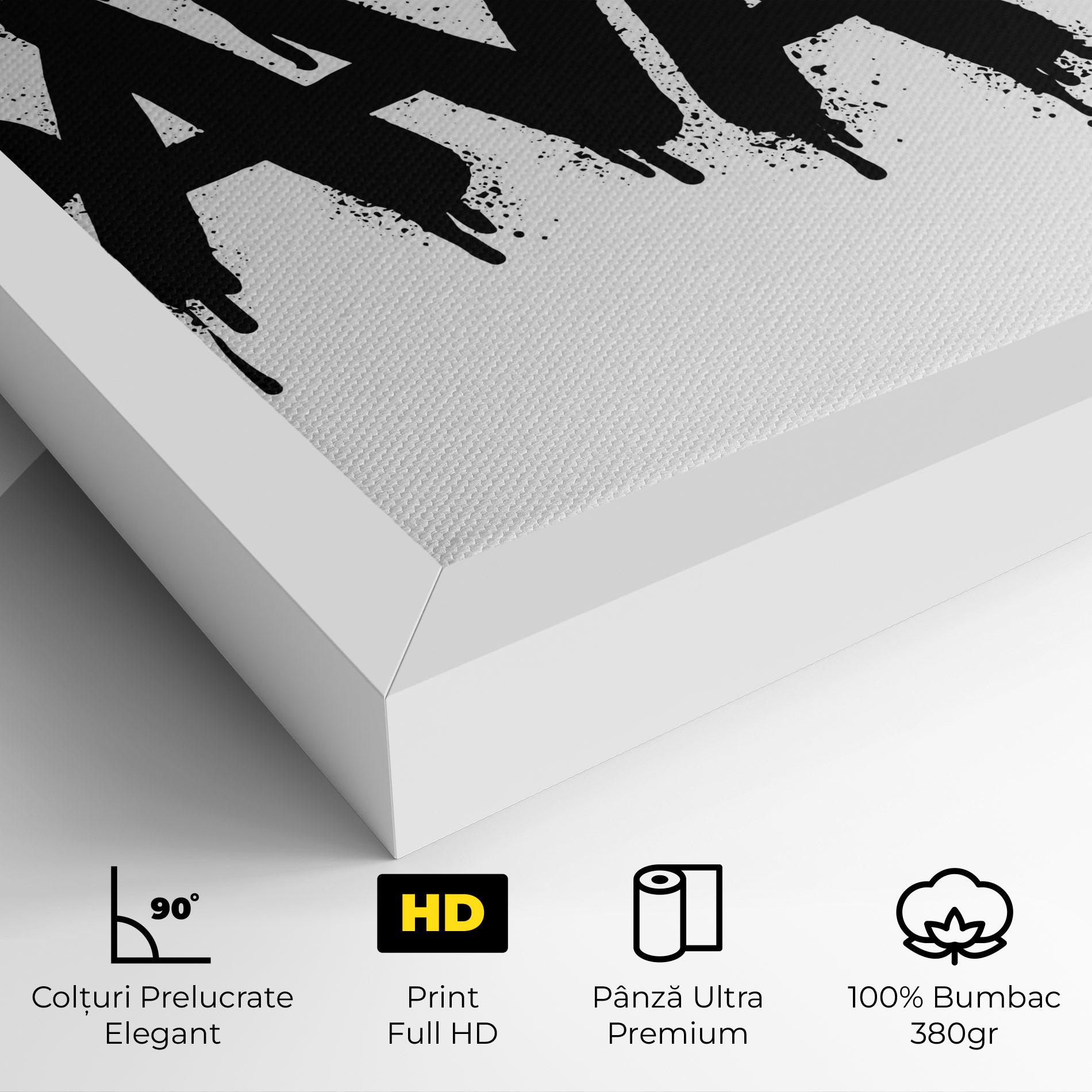 Tablou Canvas Savage Graffiti Spray mockup 4