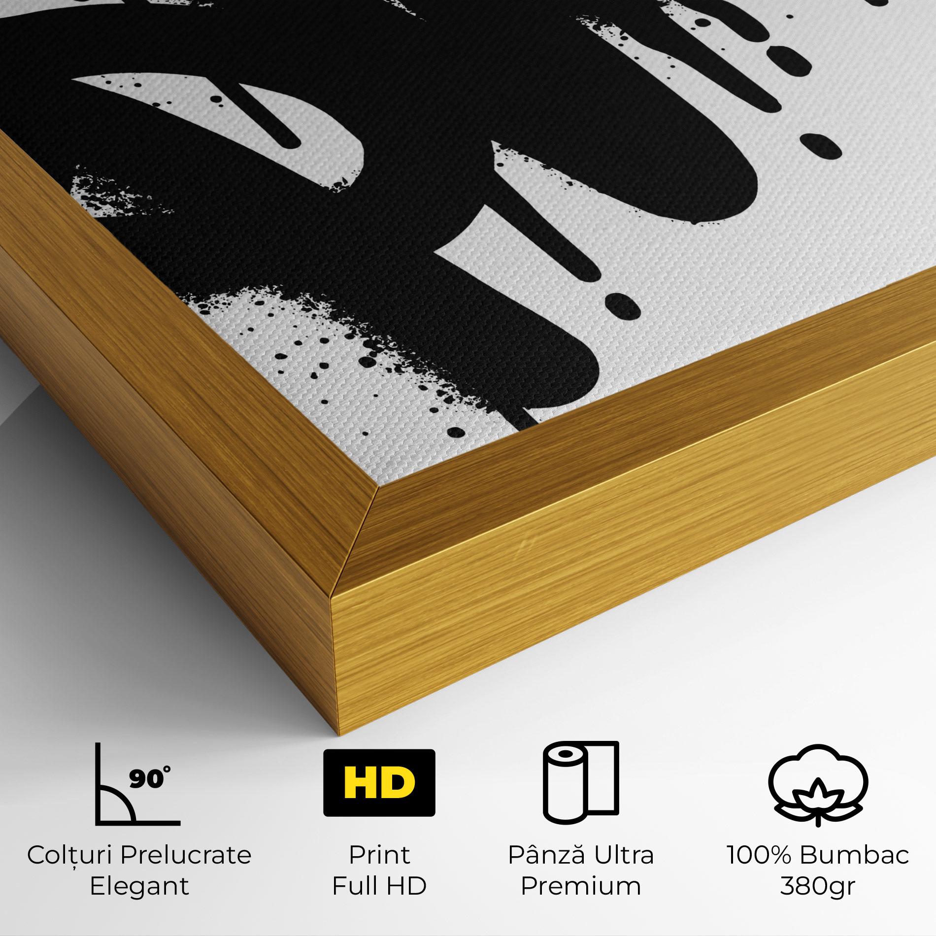 Tablou Canvas Graffiti Savage mockup 4