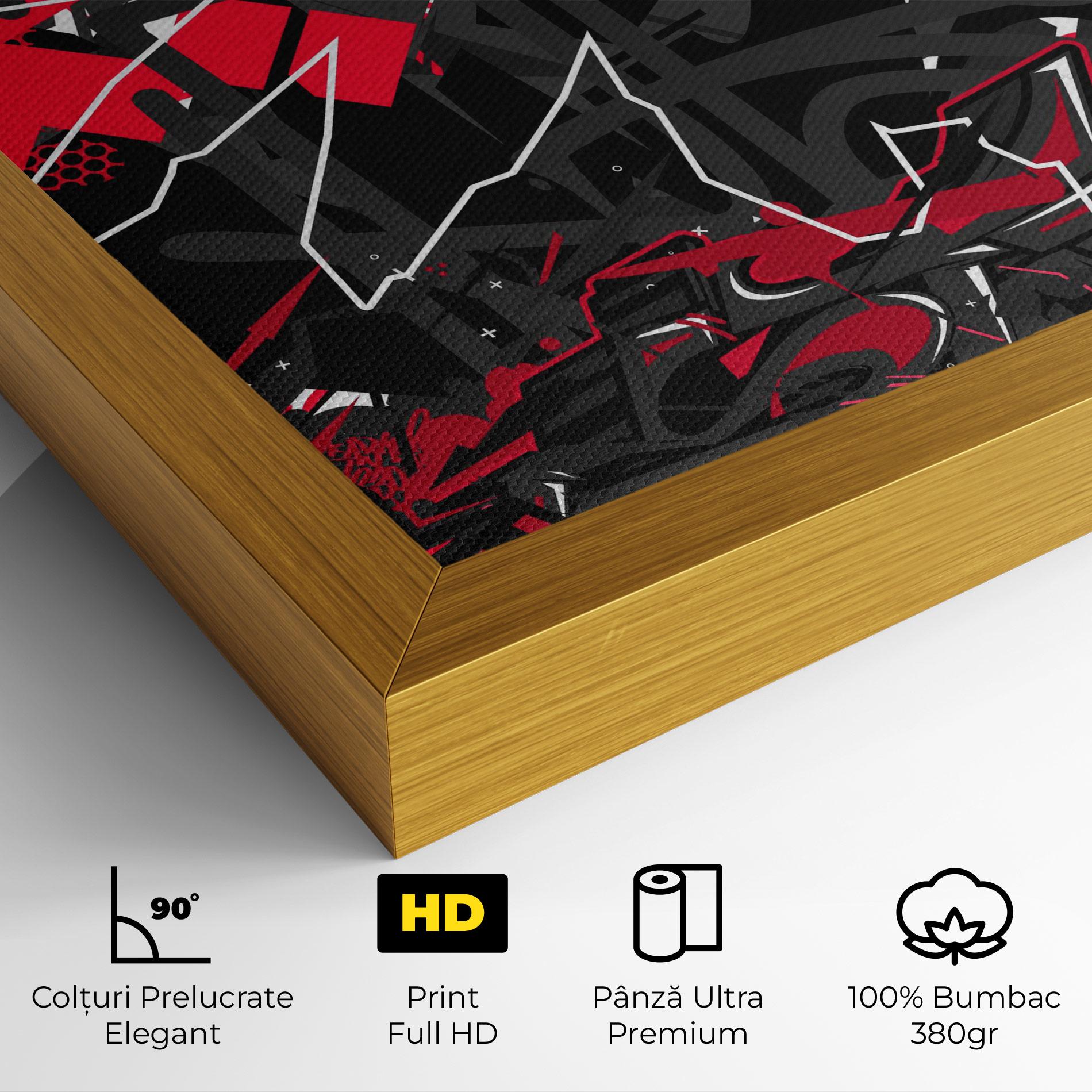 Tablou Canvas Grey Red Graffiti mockup 4