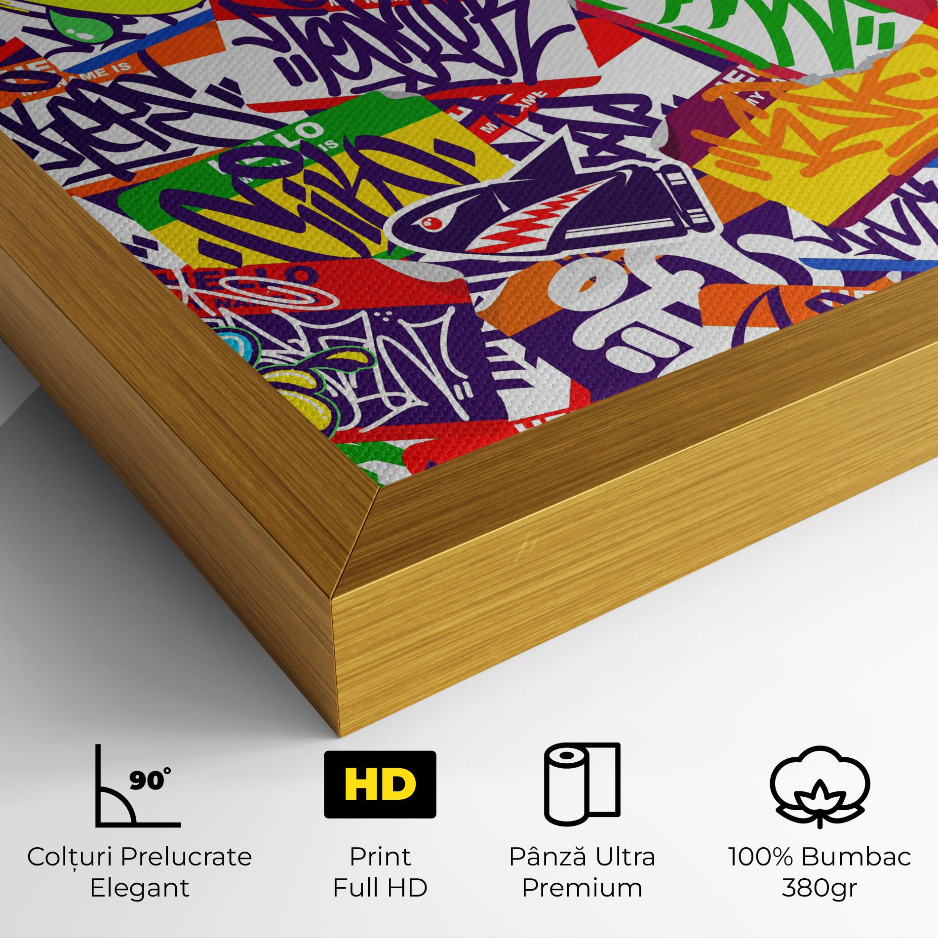Tablou Canvas Hello Graffiti Name mockup 4